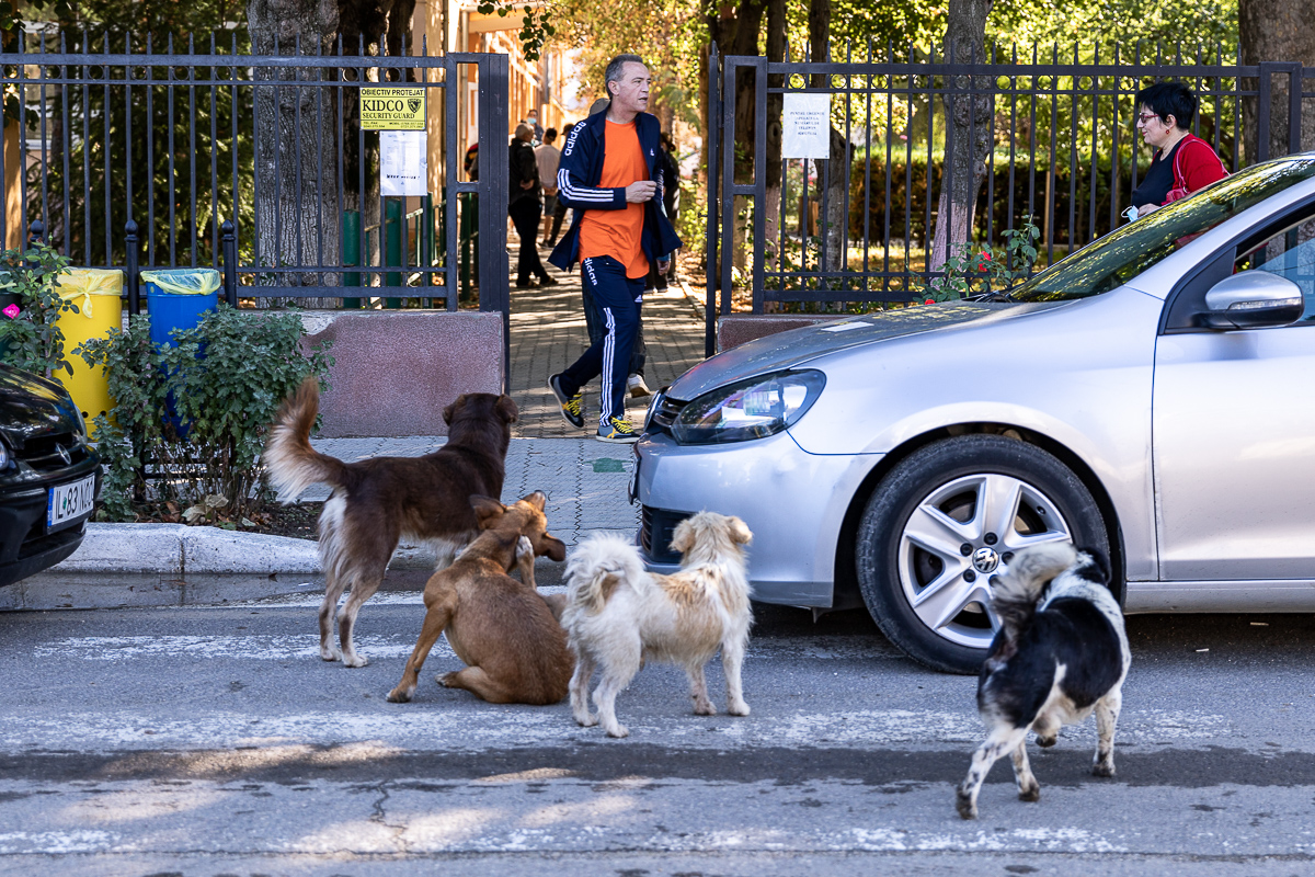 Cozi la alegeri în Ţăndărei, fost focar de Covid-19. Oamenii au votat pentru “şuşale”