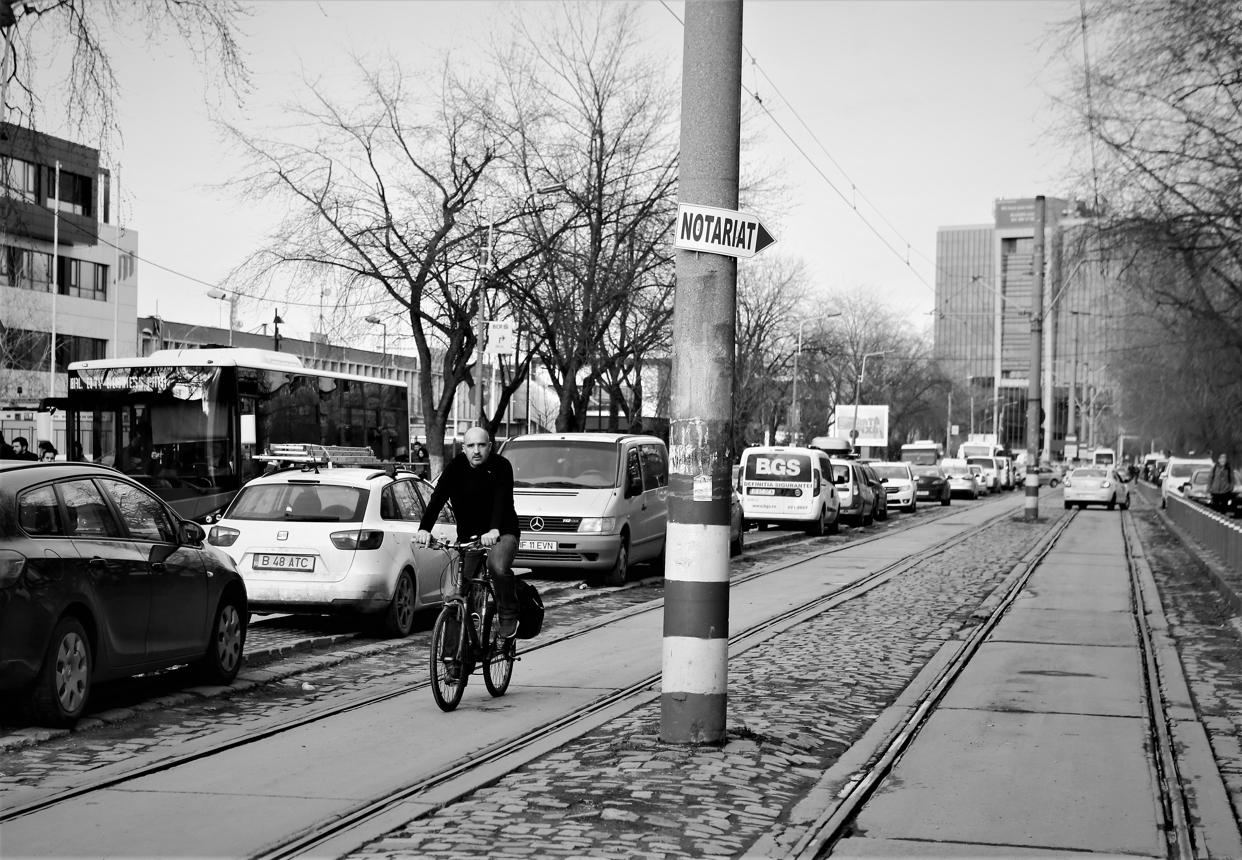 FOTOREPORTAJ | #salvatipipera, între ALB și NEGRU