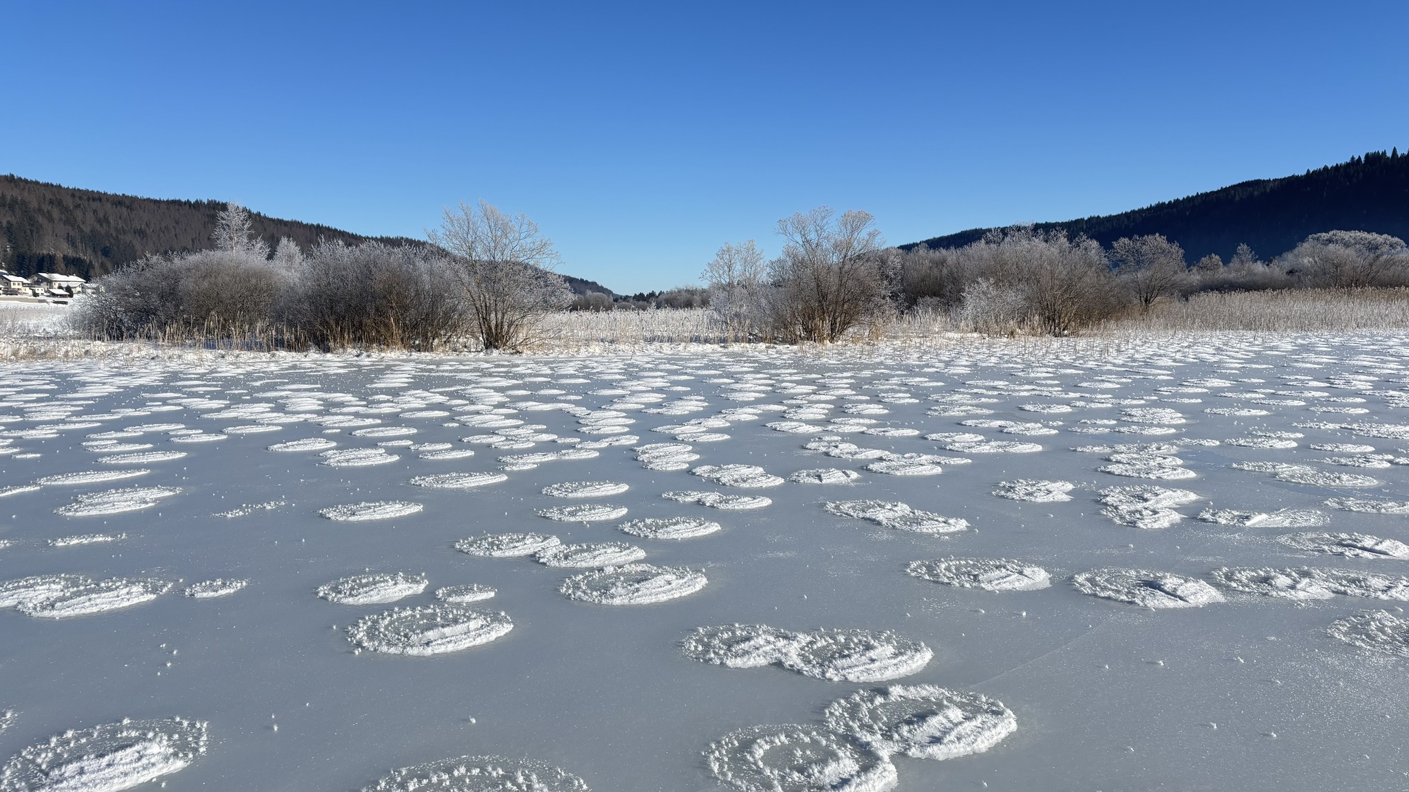 Fenomen rar și uluitor apărut în Franța, pe un lac înghețat. Ce sunt „clătitele de zăpadă” și cum se formează 