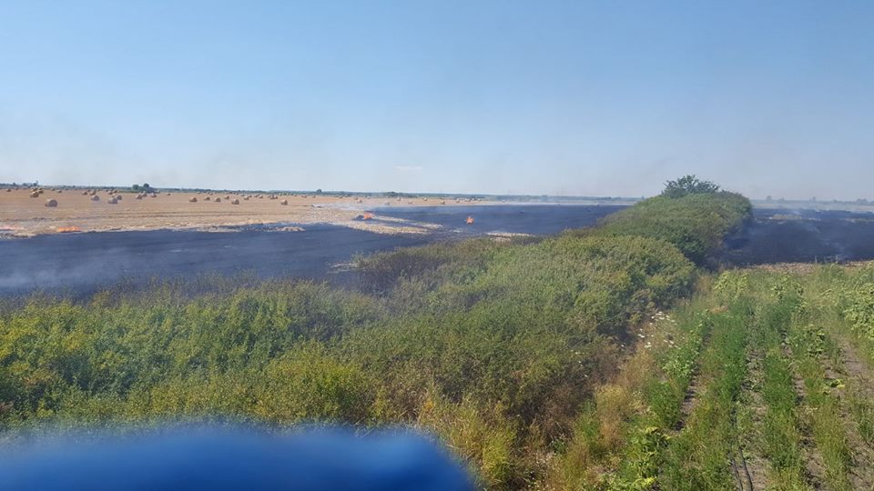 Incendiile de vegetație fac ravagii în Timiș. O mașină și mai multe hectare de teren, făcute scrum