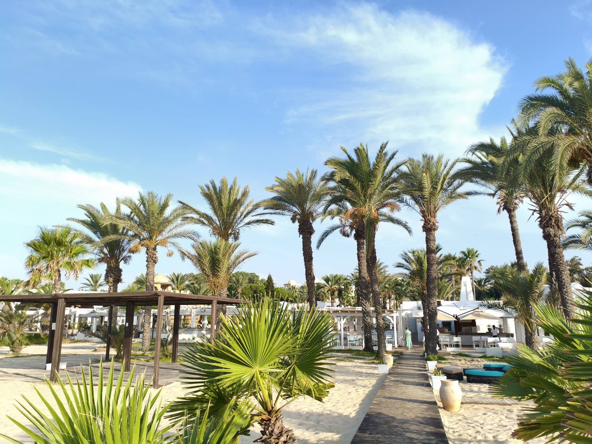 Cum a devenit un oraș-stațiune din Tunisia una dintre destinațiile preferate ale românilor. 40.000 de conaționali și-au petrecut concediile în țara din nordul Africii