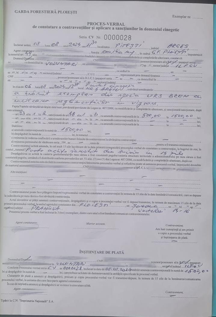 Frații Tate, amendați după ce s-au filmat în timp ce hrăneau cu cârnăciori un urs, pe Transfăgărășan