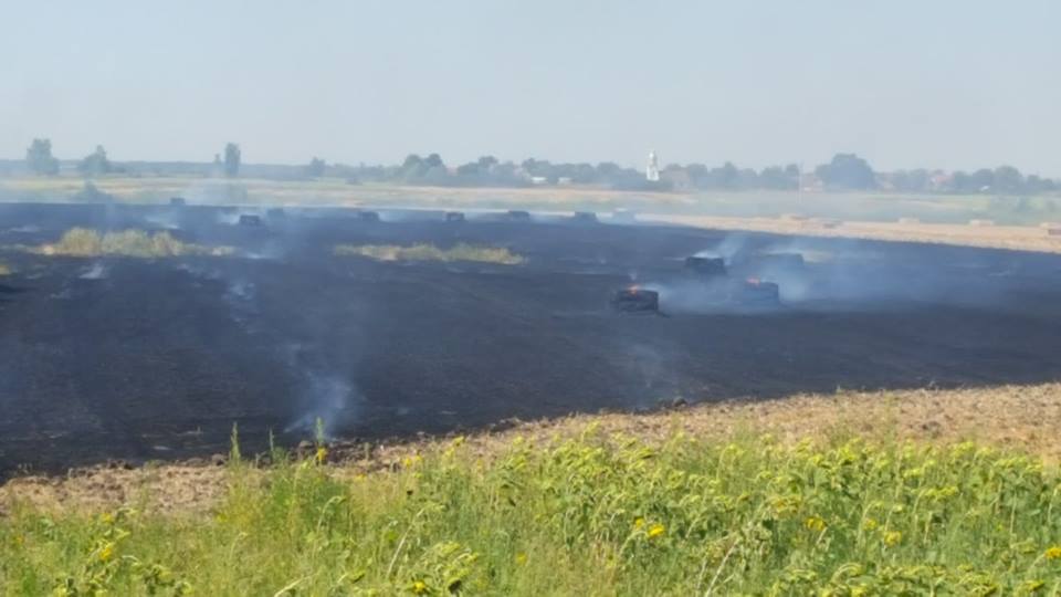 Incendiile de vegetație fac ravagii în Timiș. O mașină și mai multe hectare de teren, făcute scrum