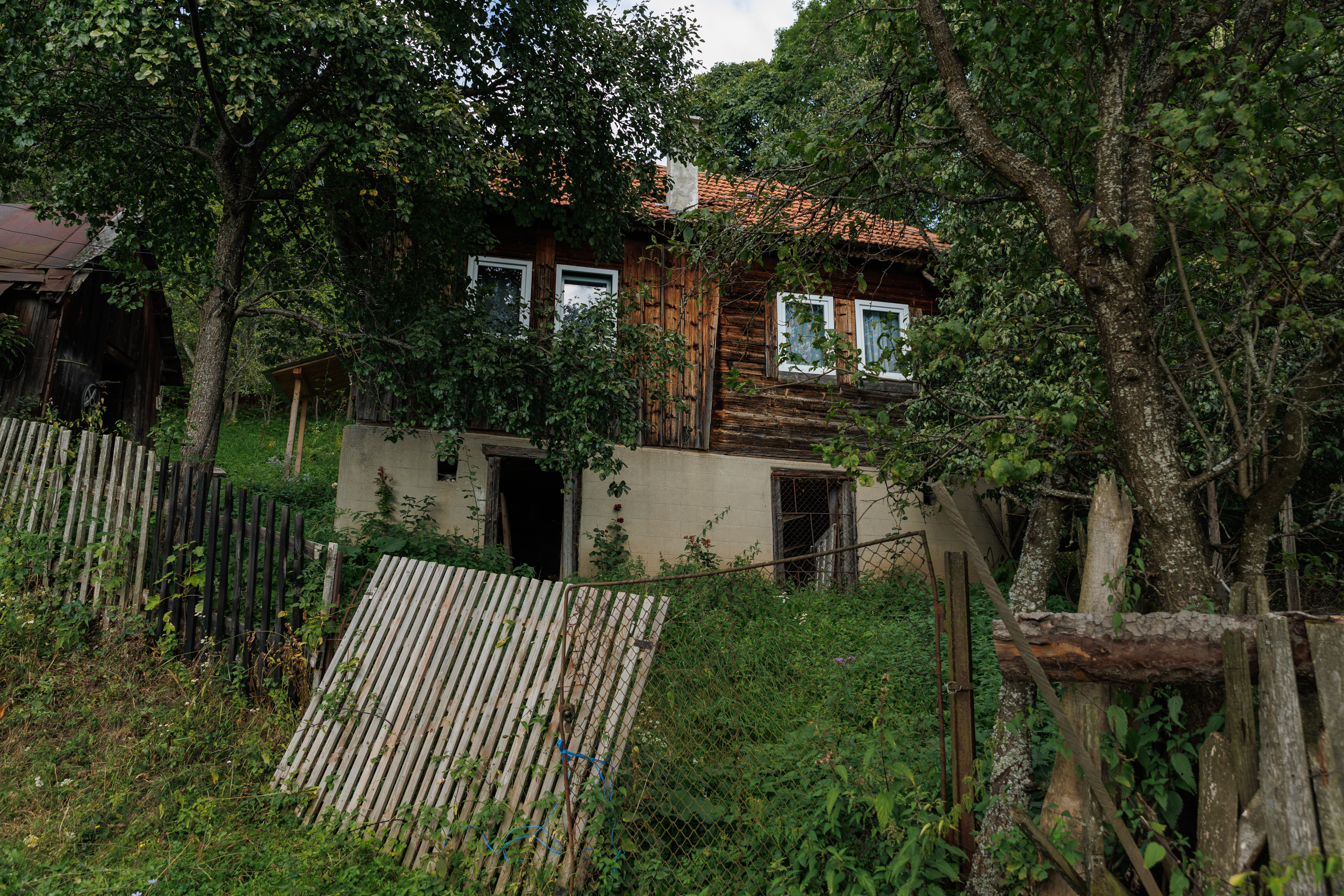 „Cei rămași”. Viața ultimilor muntăreni din Munții Apuseni. Cum arată școala din junglă