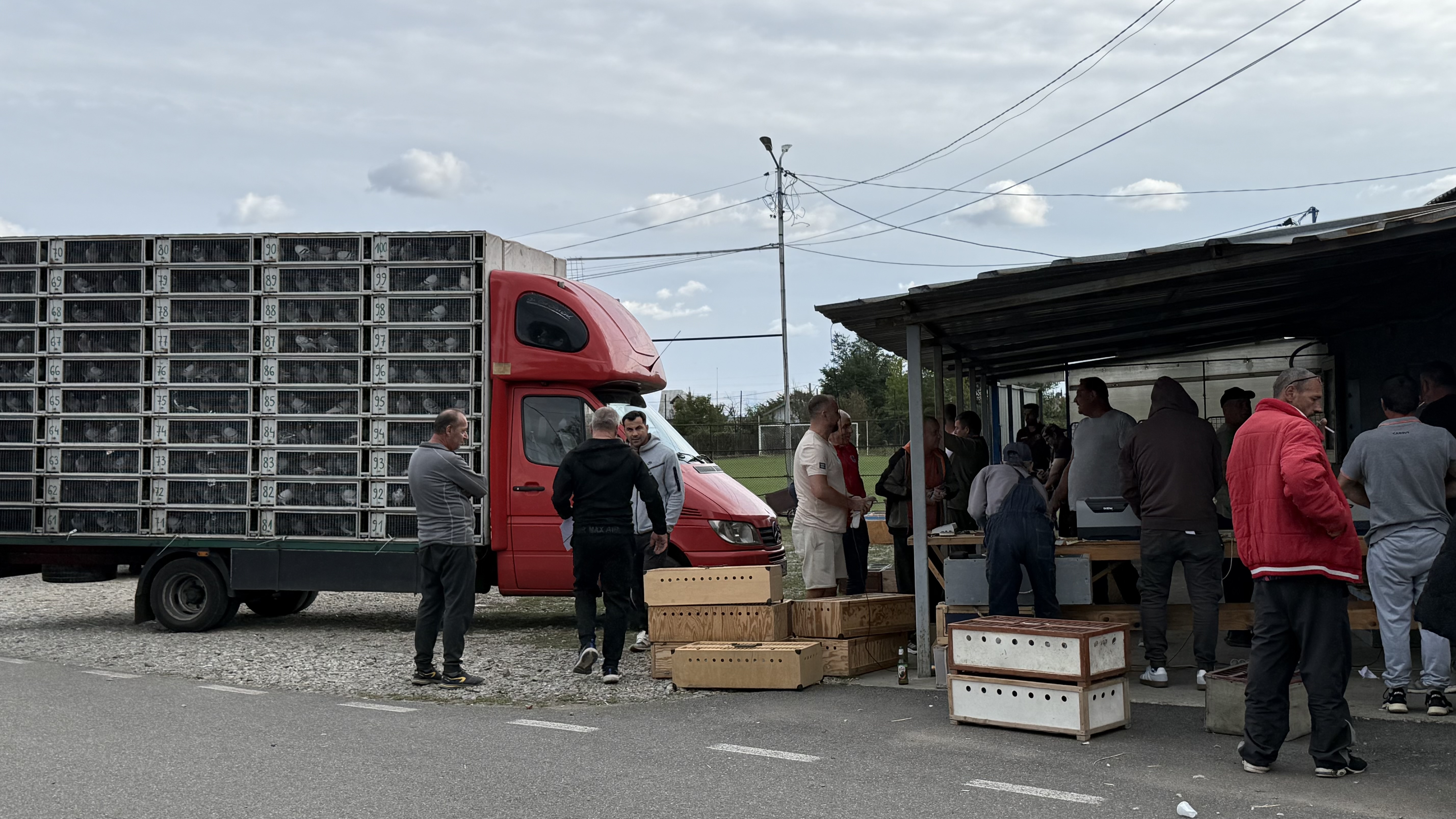 Concurs columbofili - Bănești, județul Prahova