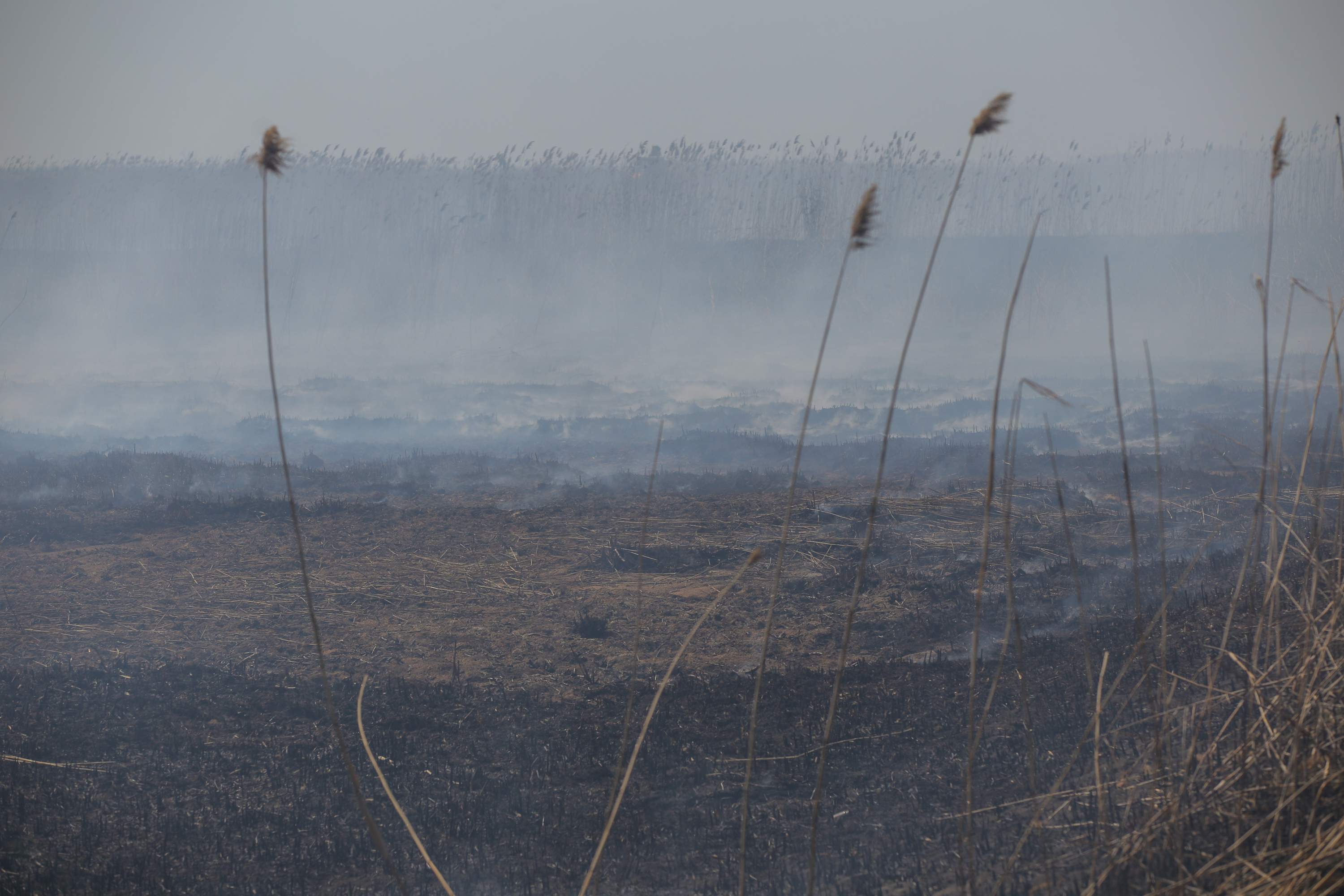 Incendiul care a poluat miercuri Bucureștiul. Cum a ajuns fosta fermă de porci din Periș, care a avut legături cu Liviu Dragnea, un dezastru ecologic