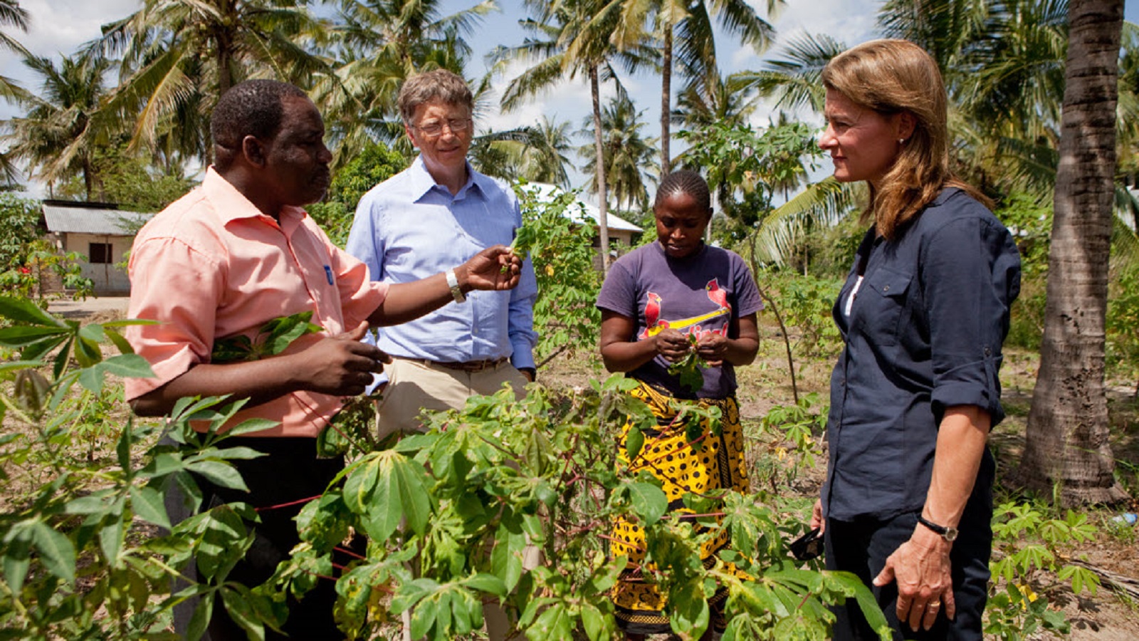 Bill Gates pledges $1.4 billion to help farmers adapt to extreme weather in Africa and Asia