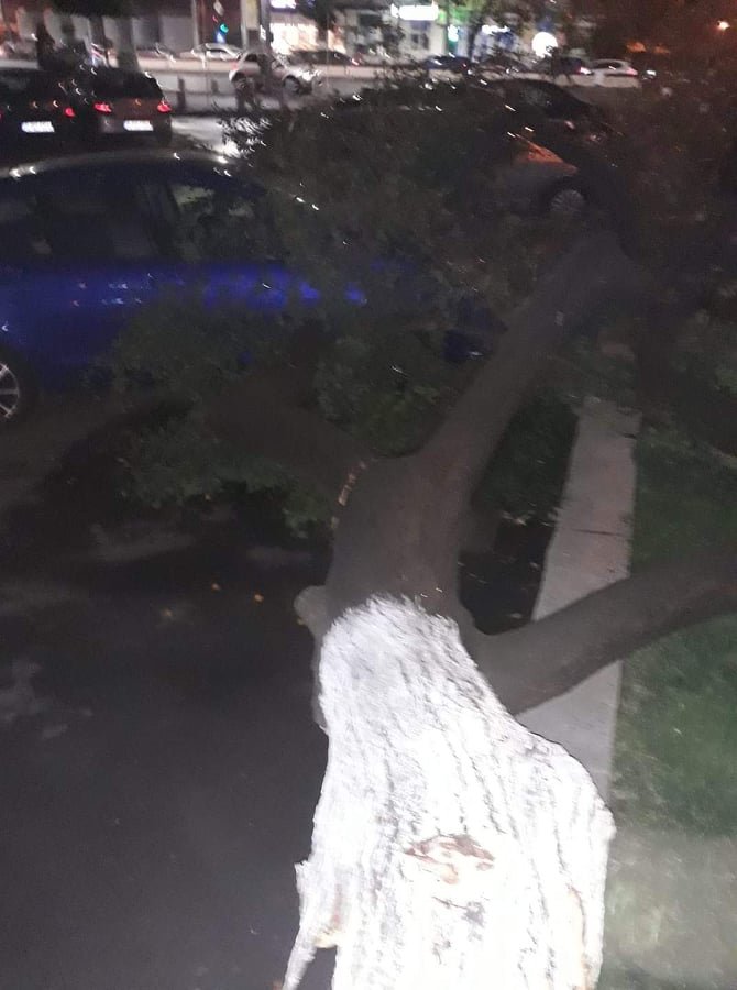 Furtună violentă în București și în Ilfov. Două persoane rănite, după ce o antenă GSM a căzut peste casele lor
