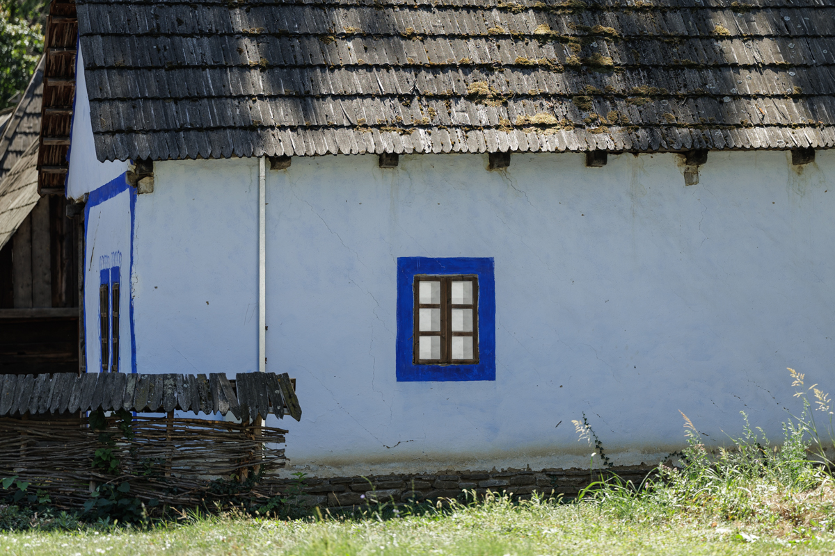 Paznici neobișnuiți pentru Muzeul Satului. Zeci de pisici sunt „plătite” cu hrană și apă pentru a apăra valoroasele exponate