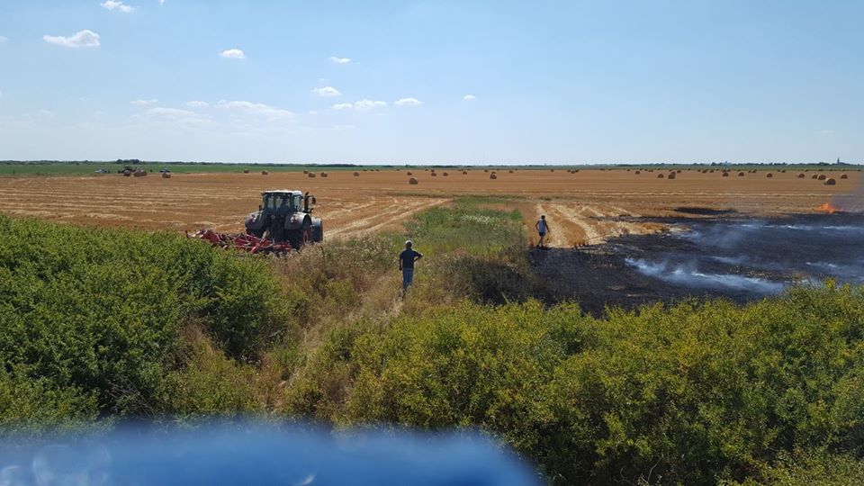 Incendiile de vegetație fac ravagii în Timiș. O mașină și mai multe hectare de teren, făcute scrum