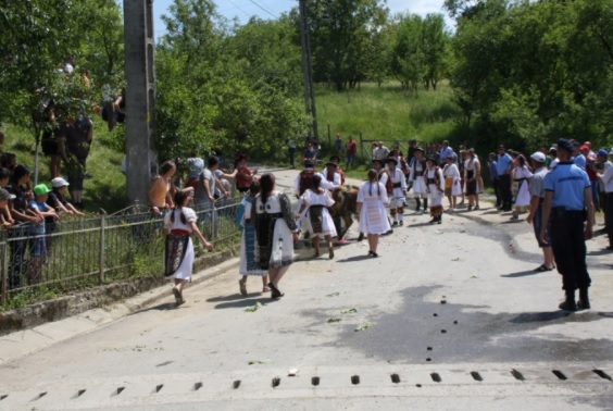 Fetele din Figa nu rămân nemăritate nici anul acesta. Tradiția, respectată cu sfințenie de sute de ani în județul Bistrița-Năsăud