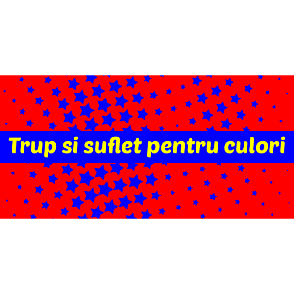 FCSB și-a deschis magazin oficial, care concurează fanii stemei glorioase  / GALERIE FOTO
