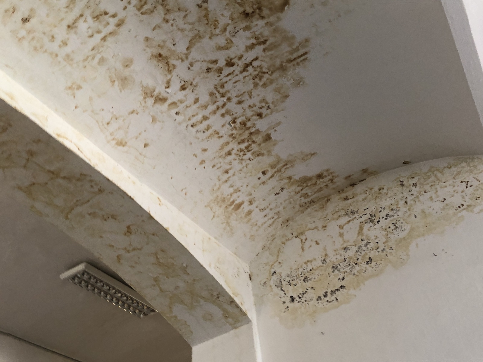 Peste 500 de elevi învață într-o școală fără acoperiș, în Timișoara. Clădirea distrusă de o furtună, în septembrie 2017, nu a fost reparată nici până acum!