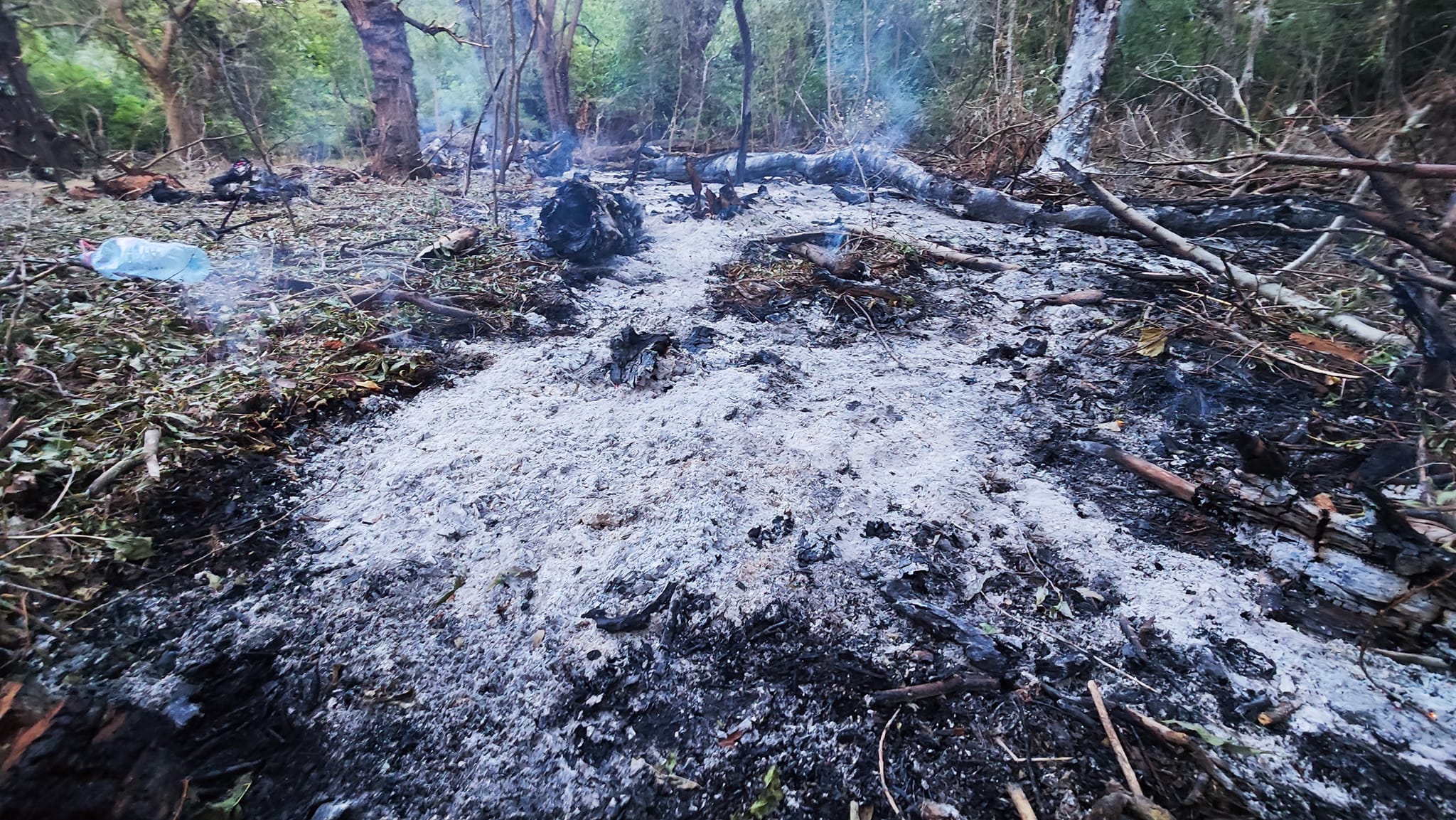 Imagini din locul unde au fost găsite, joi, resturile de dronă rusească pe teritoriul României: copaci carbonizați și cratere