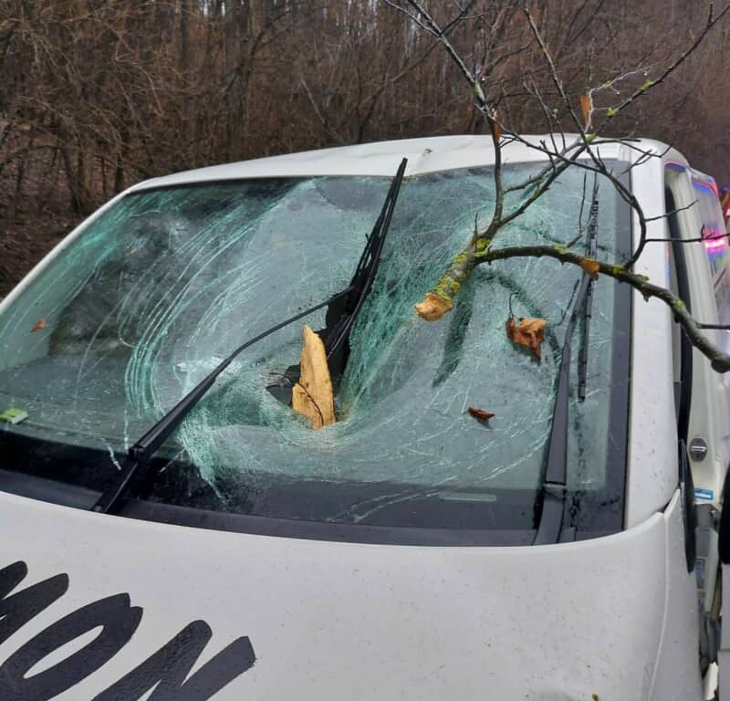 Șofer rănit după ce un copac a căzut peste un autoturism aflat în mers, pe un drum din Sighișoara
