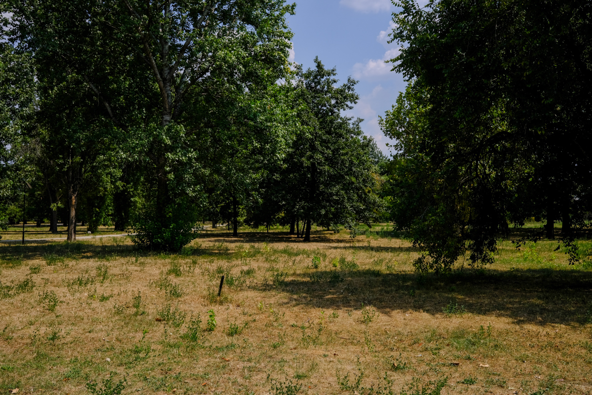 Concesionarea Parcului Izvor, între „festivalizarea orașului” și „nu-l distrugem, îl facem mai frumos”