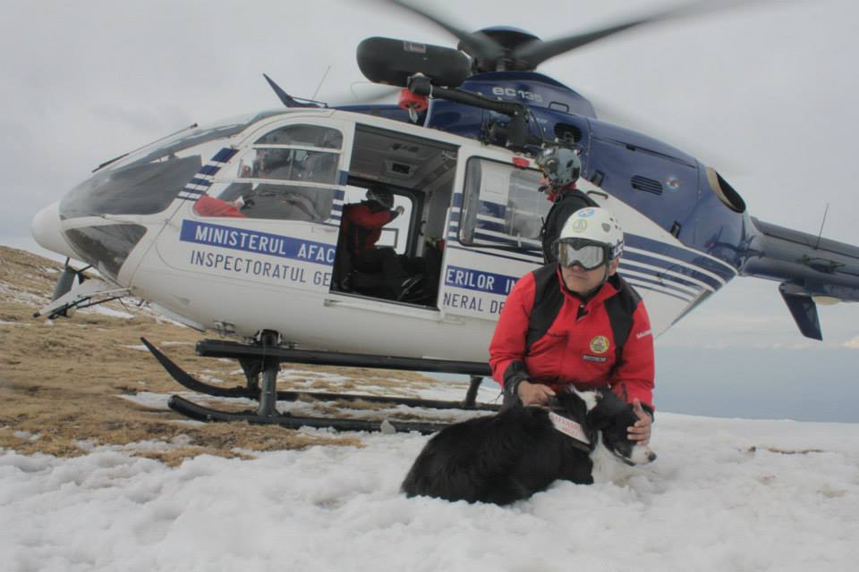 REPORTAJ/Povestea câinilor de avalanșă Helios și Dara sau încrederea de nezdruncinat dintre om şi animal: "Unde merg eu, merg şi ei"/ FOTO