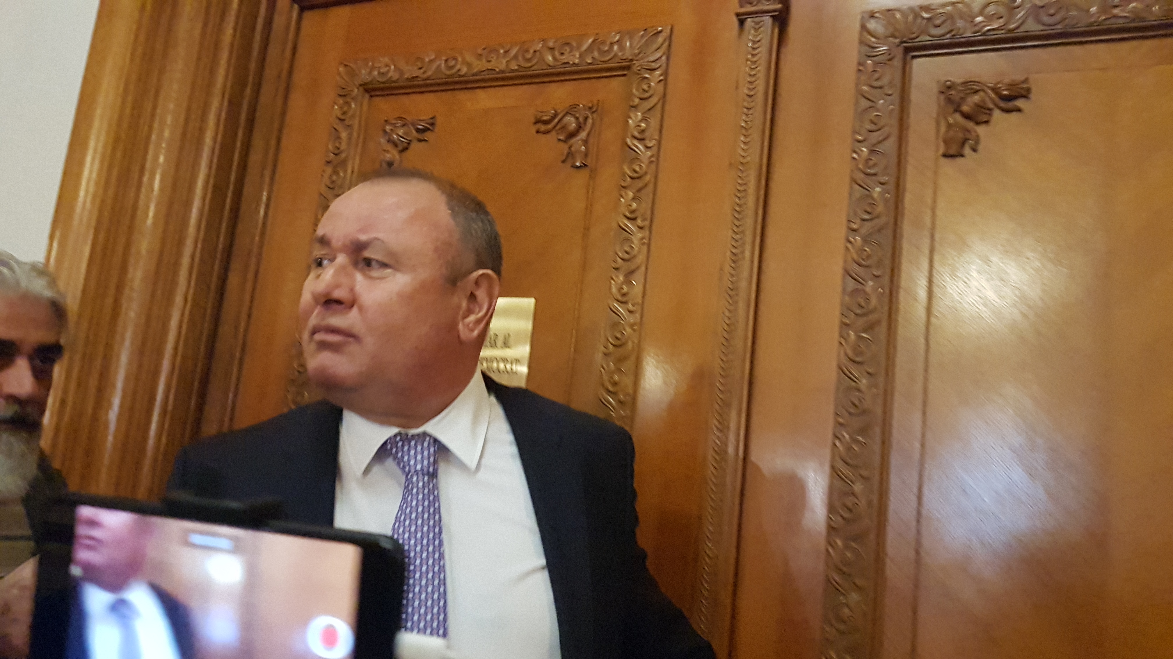 VIDEO/ FOTO Puciştii din PSD, la judecata partidului: "Noi nu avem niciun fel de armată în spate, nu vrem să preluăm conducerea statului"