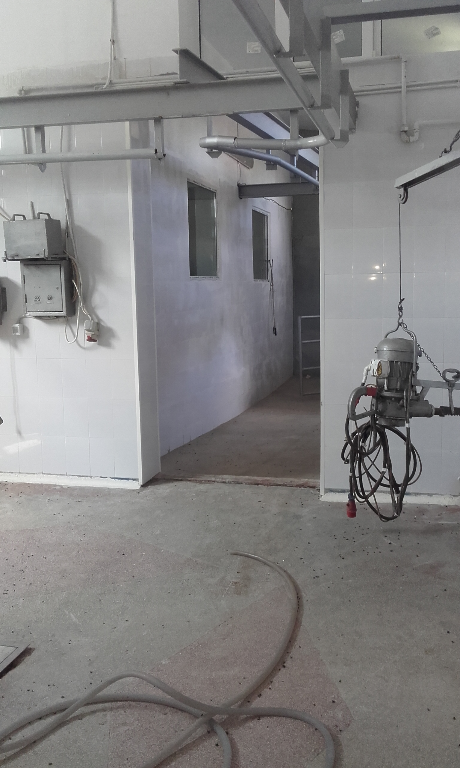 Două tone de carne în putrefacţie, găsite de inspectorii DSV într-un abator din Codlea