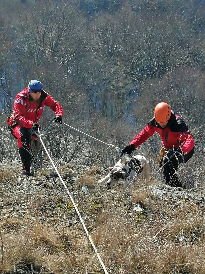 Un câine căzut într-o prăpastie, speriat de petardele de la Revelion, a fost salvat după o săptămână