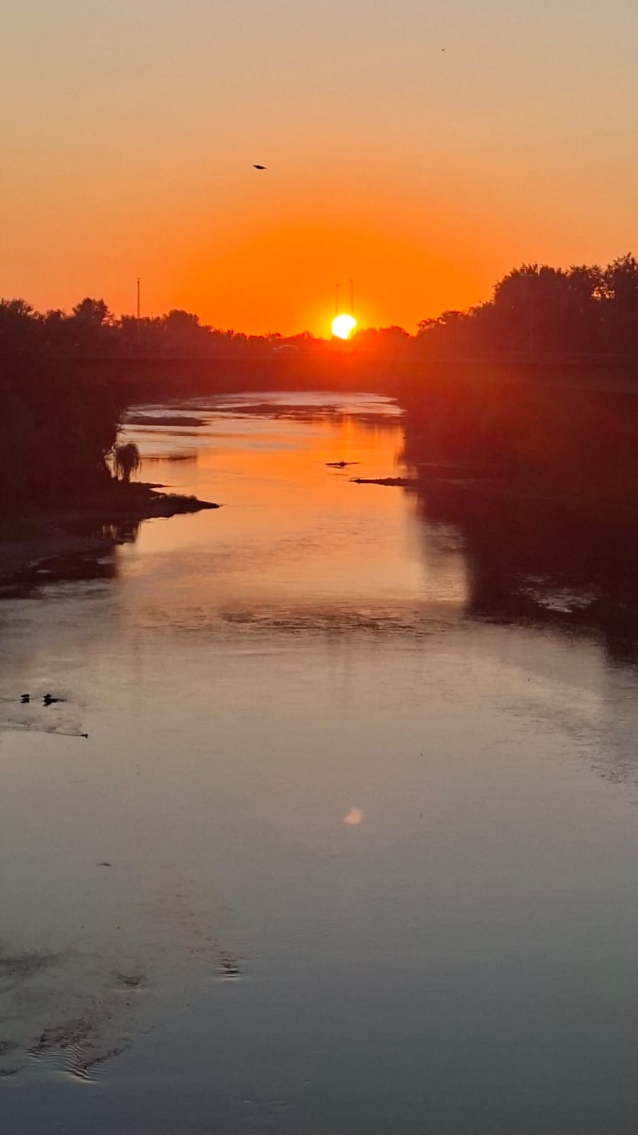 Cum s-a văzut eclipsa de Soare din România. Imagini spectaculoase din nord-vestul țării