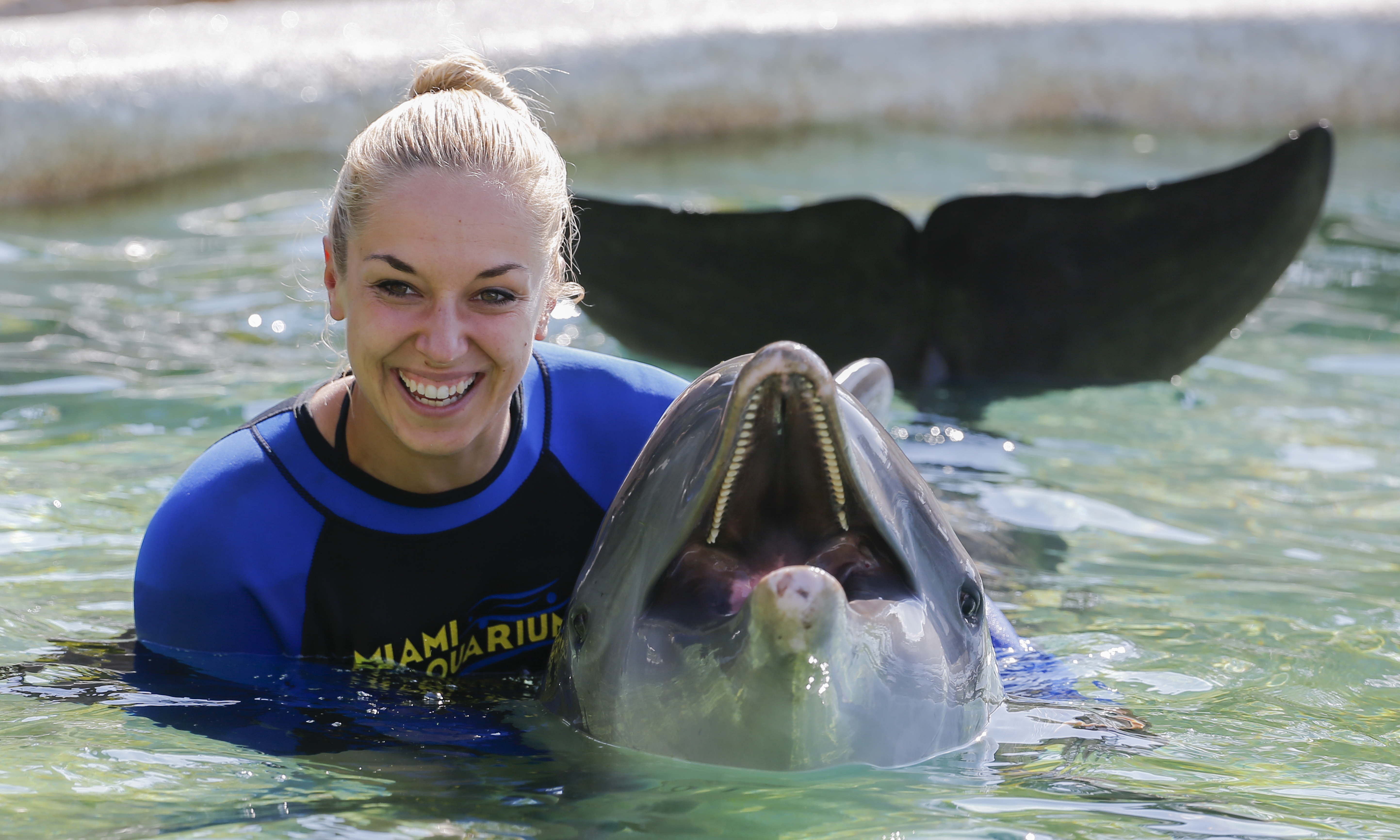 Vedetele tenisului mondial s-au zbenguit cu delfinii la Miami / FOTO & VIDEO