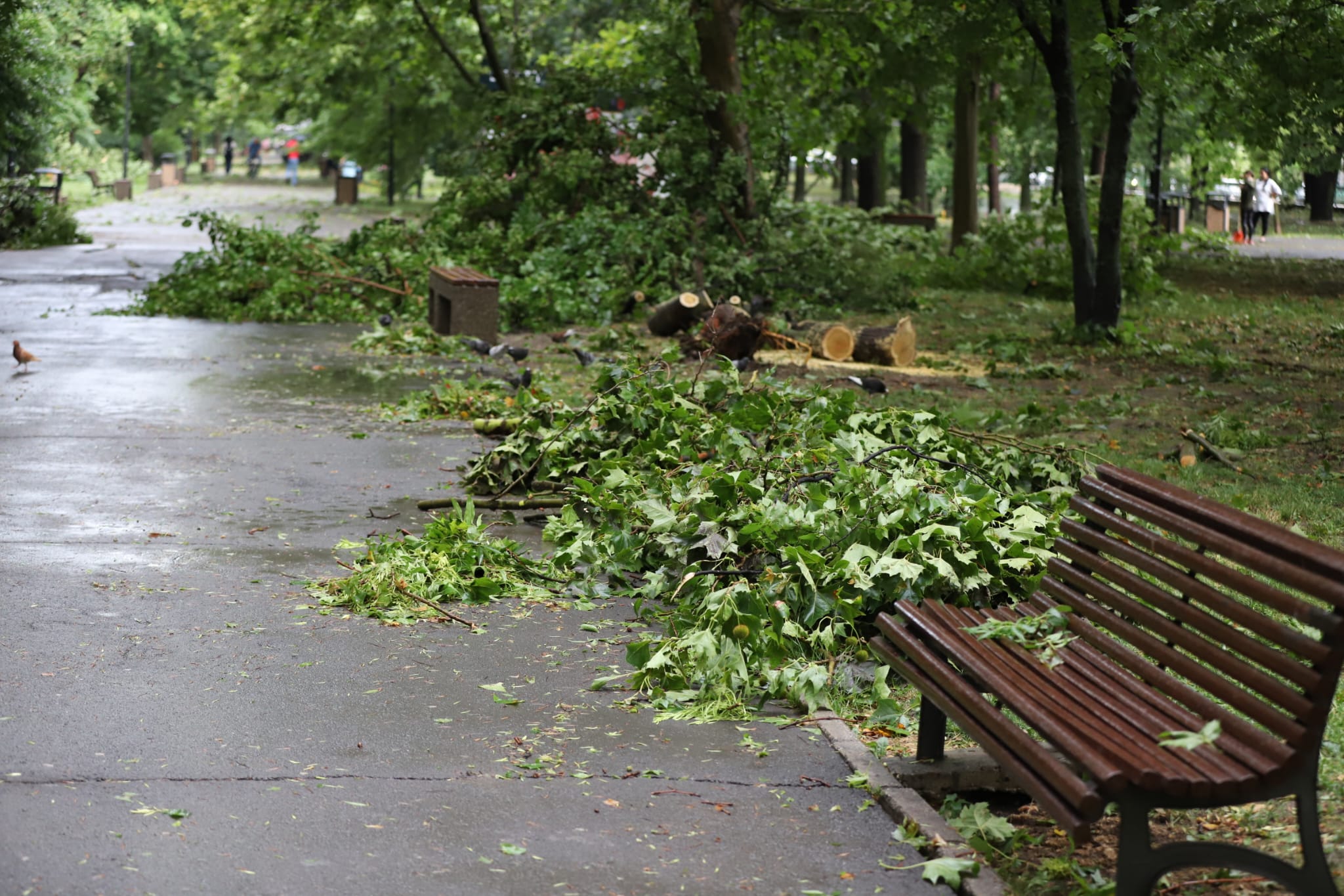 Dezastru după furtuni: București este sub ape iar aproape 30.000 de oameni din 65 de localități sunt fără curent. Pompieri din 9 județe vin în ajutor