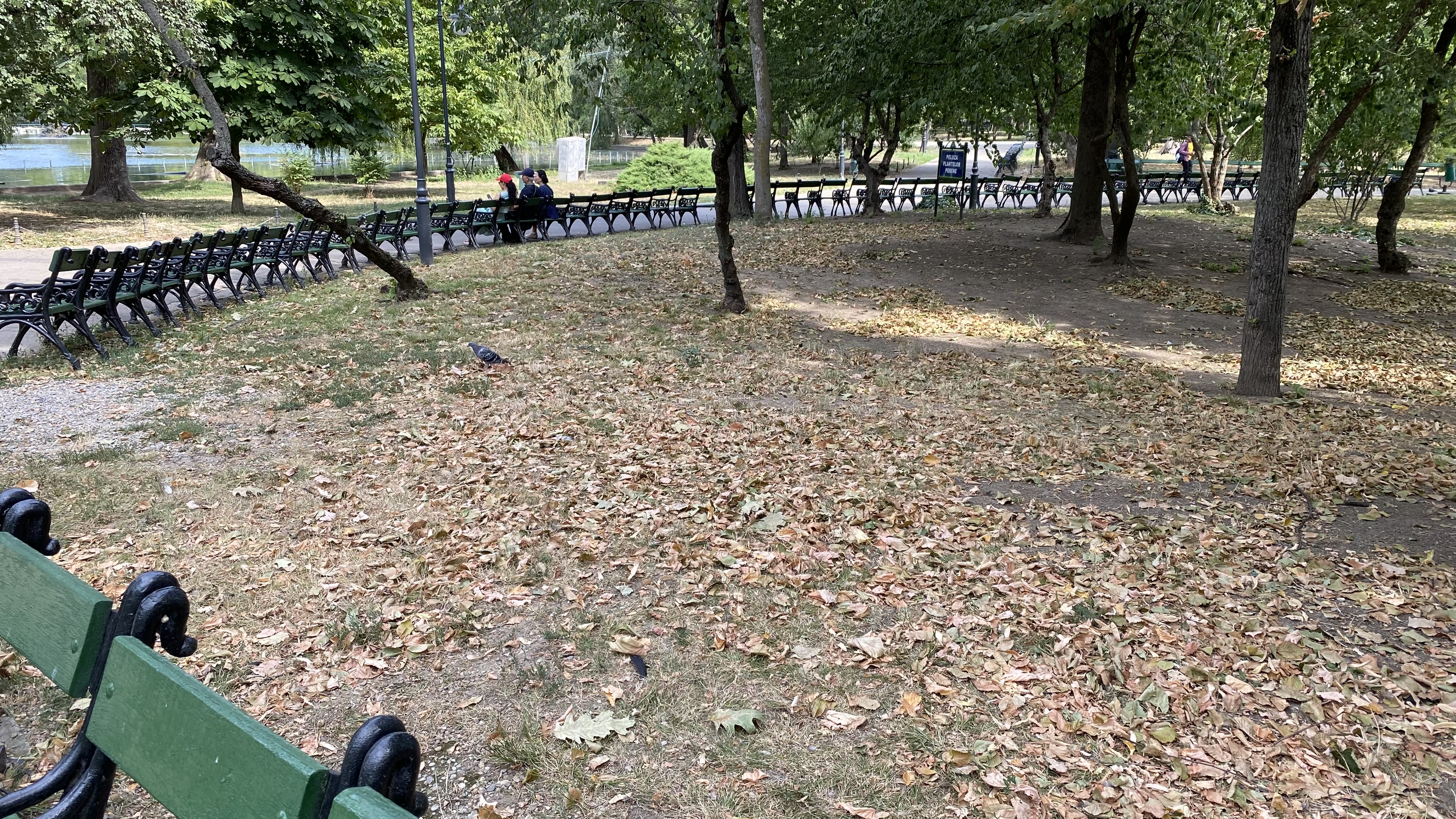 Cișmigiu, mândria tristă a Bucureștiului: pământ în loc de iarbă, alei distruse, garduri rupte și mirosuri insuportabile