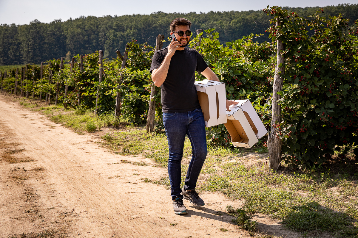 Trei generații au pus pe picioare o plantație de fructe de pădure în Gorj. Nepotul a dezvoltat afacerea, părinții au pus banii, bunica Mărioara coordonează muncitorii