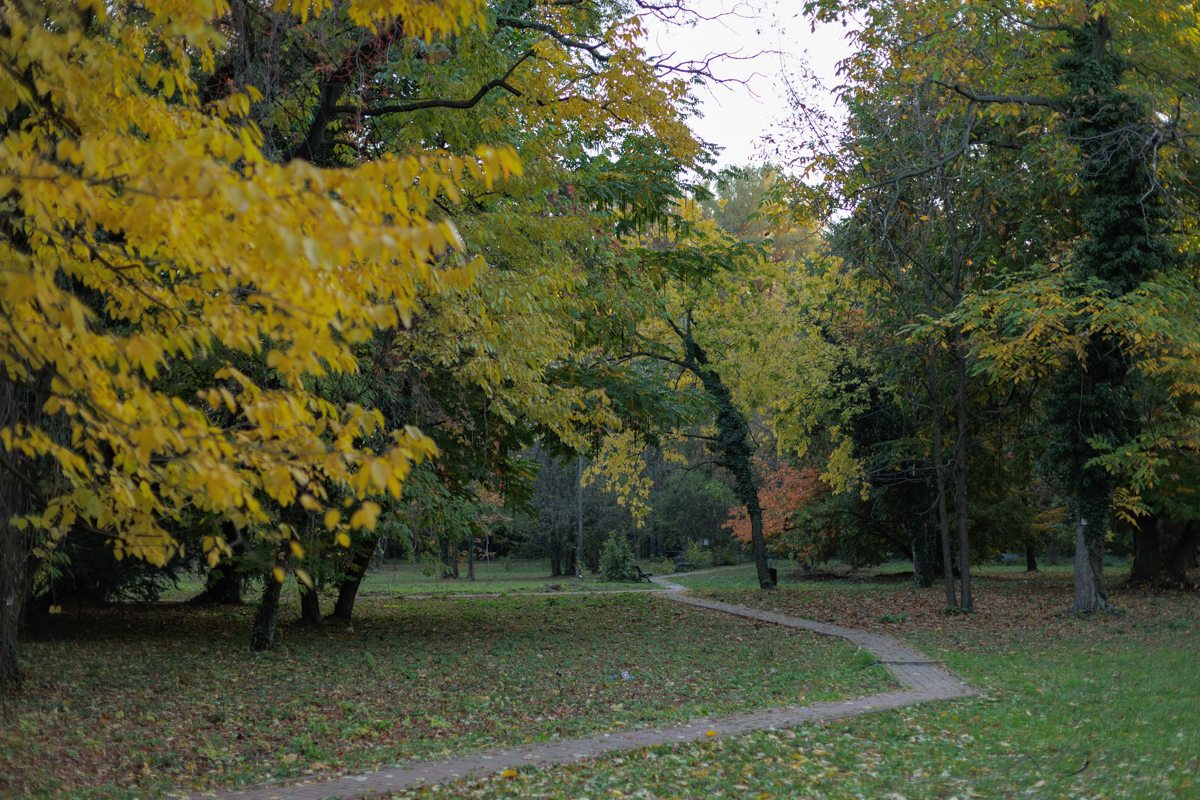 Grădina Botanică, locul perfect pentru cele mai bune poze pentru rețelele de socializare