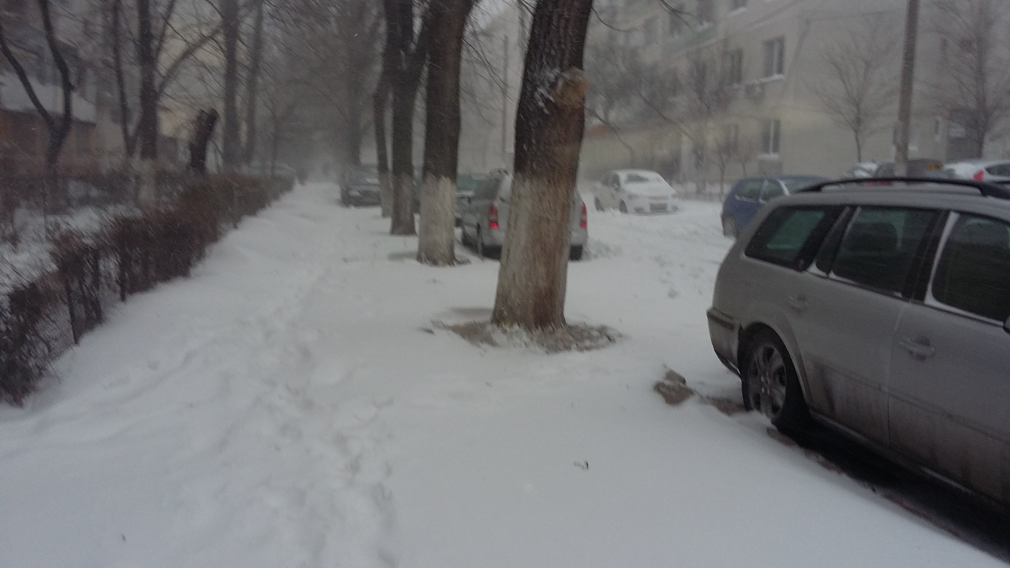Cod galben în 14 judeţe. Codul roşu a blocat jumătate de țară sub nămeți | FOTO&VIDEO
