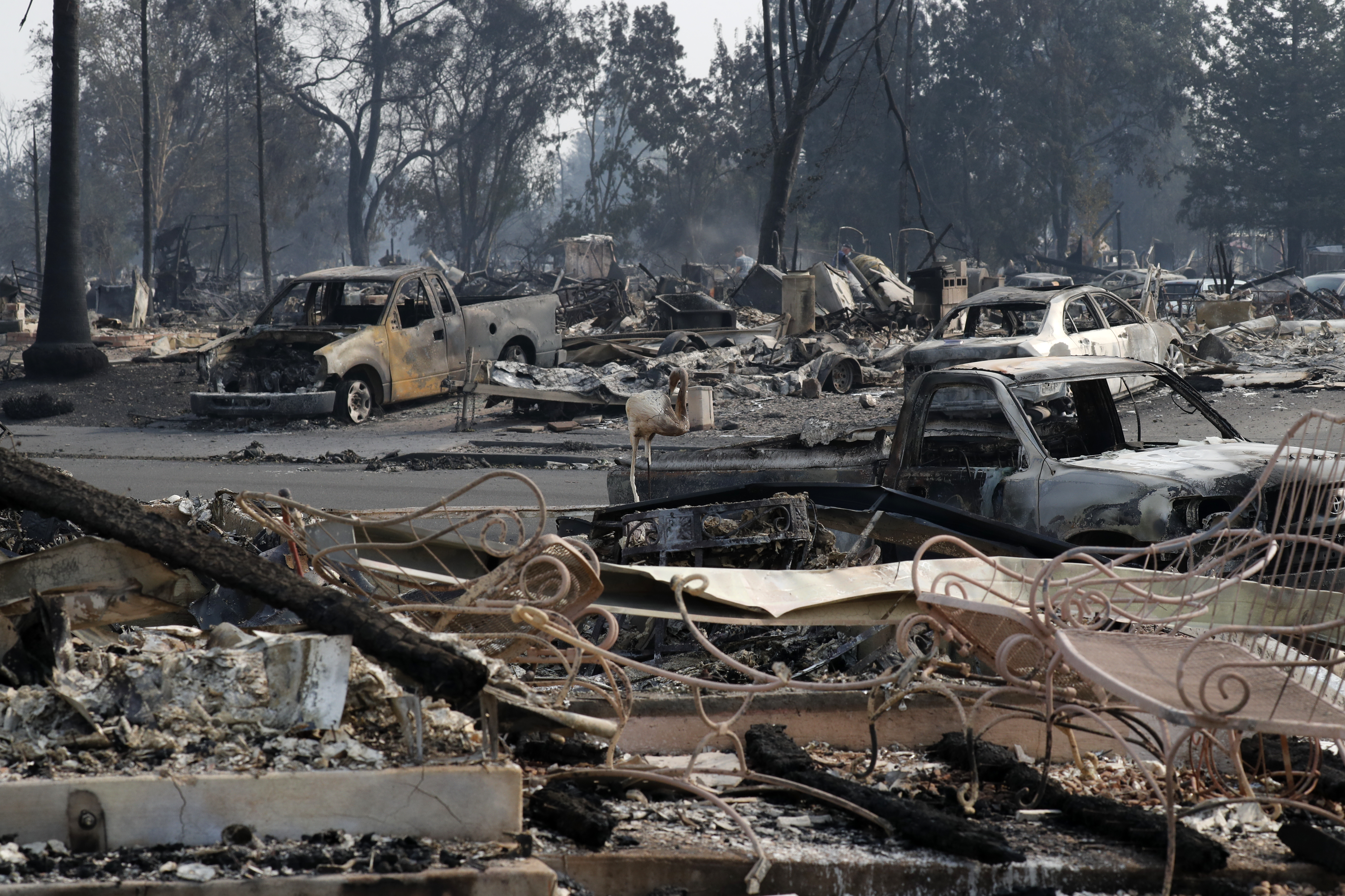 GALERIE FOTO| Incendii devastatoare în California. Cel puțin 23 de persoane au murit, mii de case și terenuri au fost distruse de foc