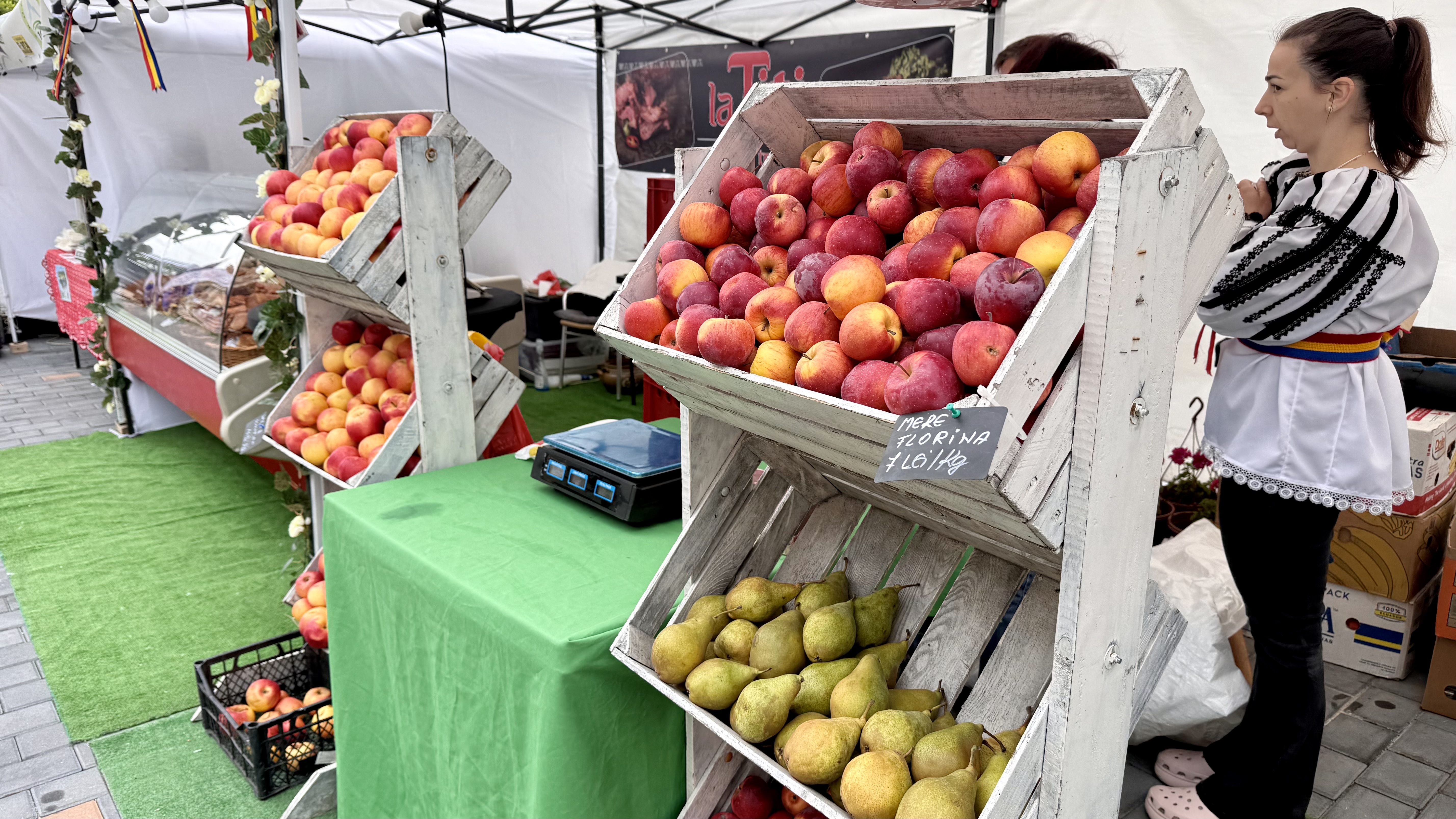 Secretele marmurei interzise de Ceaușescu și stema de 3,5 tone! Am vizitat Senatul României: buncărul pentru 300 de persoane și liniile de metrou fantomă
