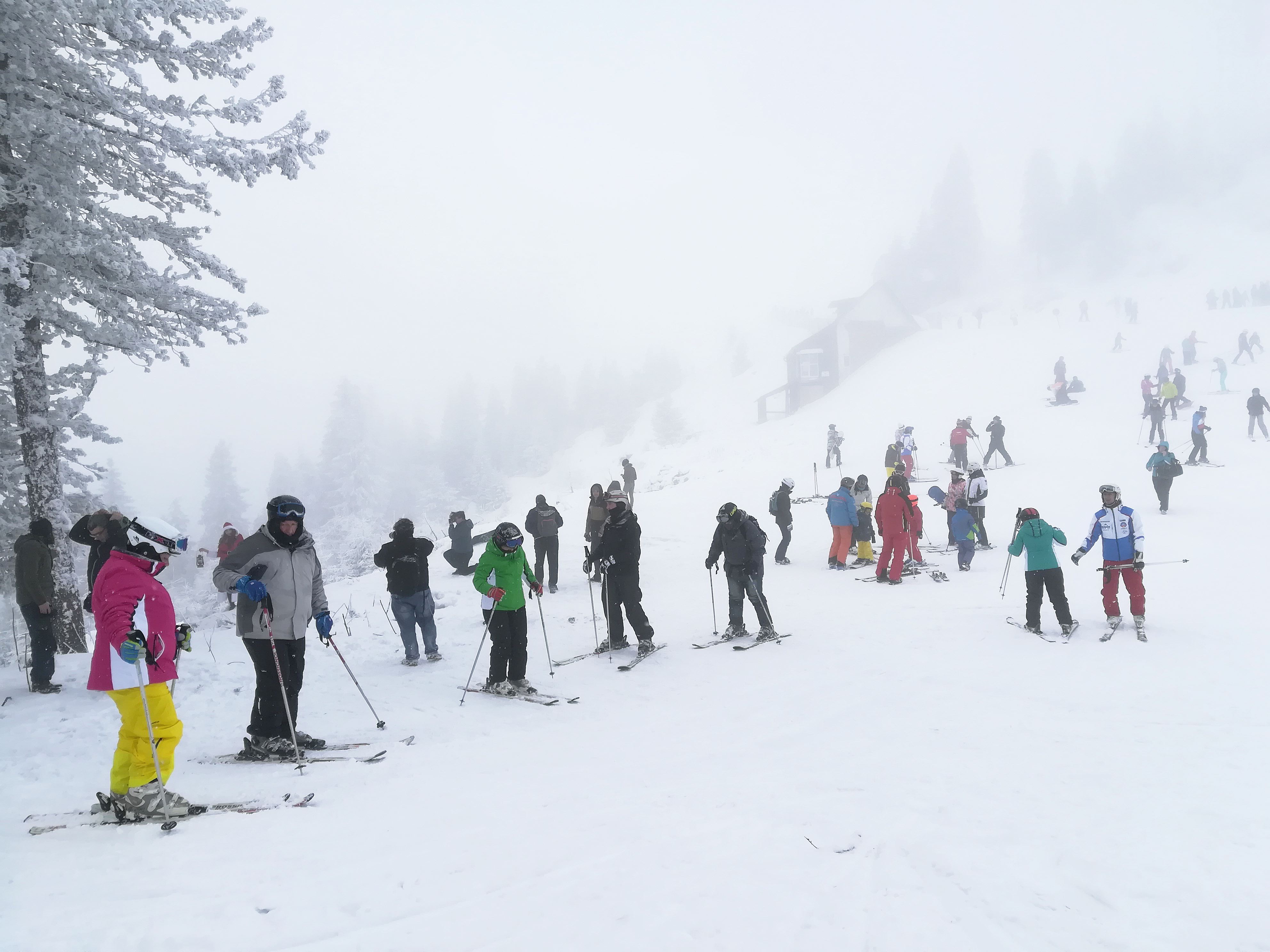 Cum petreci Crăciunul la Poiana Brașov: Spectacol cu Direcţia 5 şi defilarea schiorilor cu torţe aprinse| FOTO