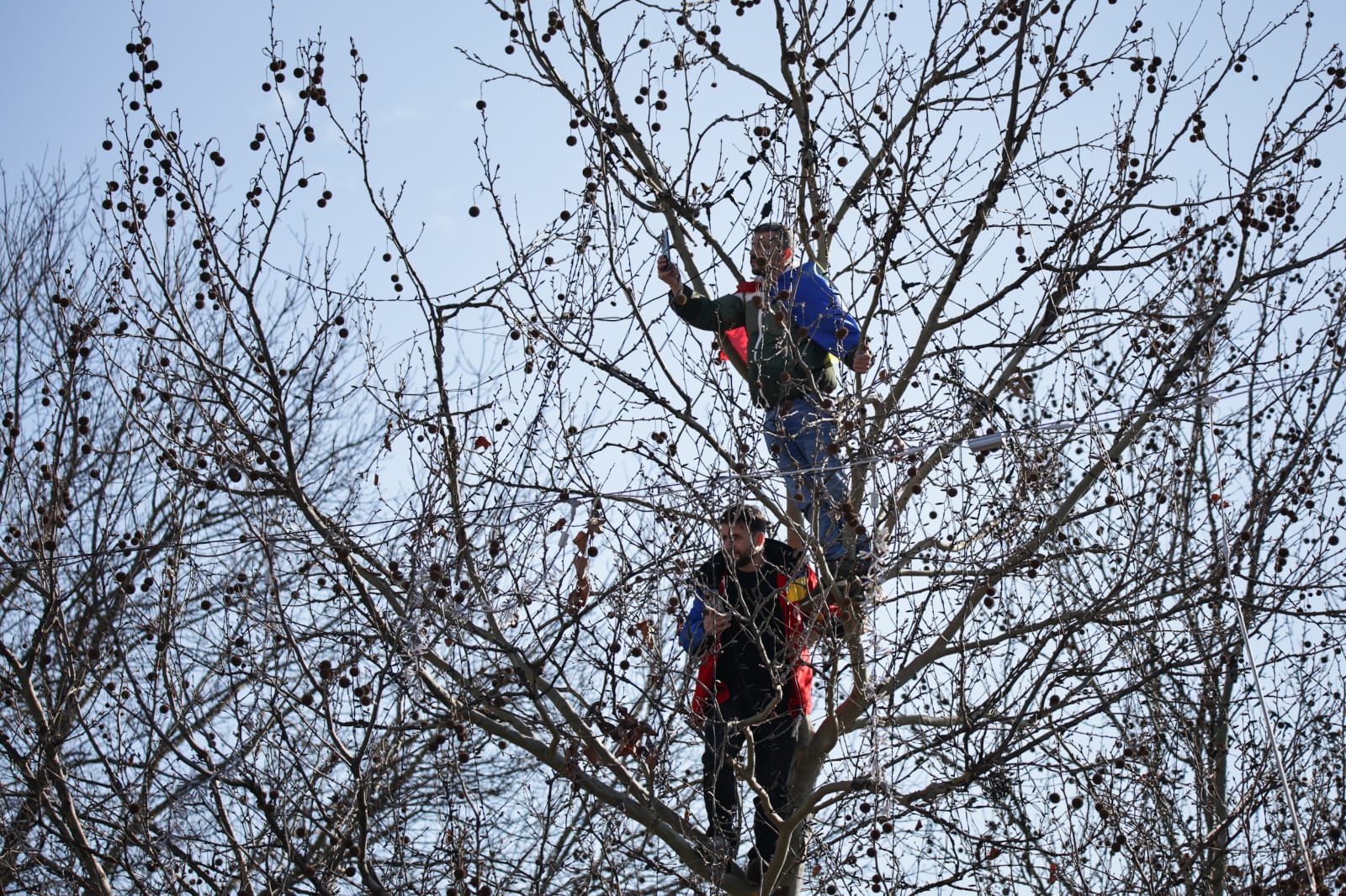 Oameni urcați pe blocuri în București ca să vadă marșul susținătorilor lui Călin Georgescu