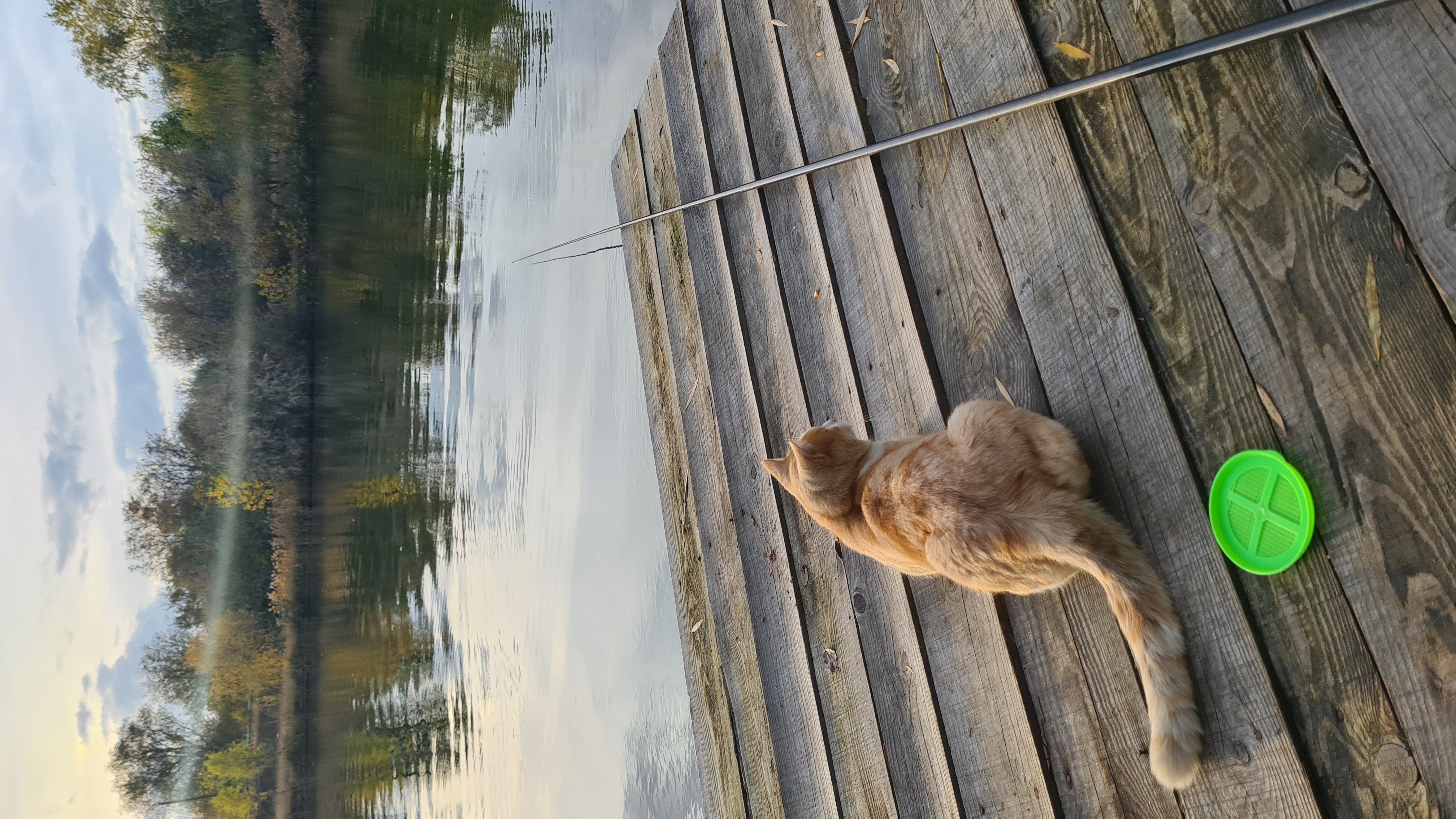 „Delta Dunării” de pe Siret. Satul de vacanță de 82 de hectare, cu zoo, pescuit sportiv și kilometri de canale unde te poți plimba cu barca