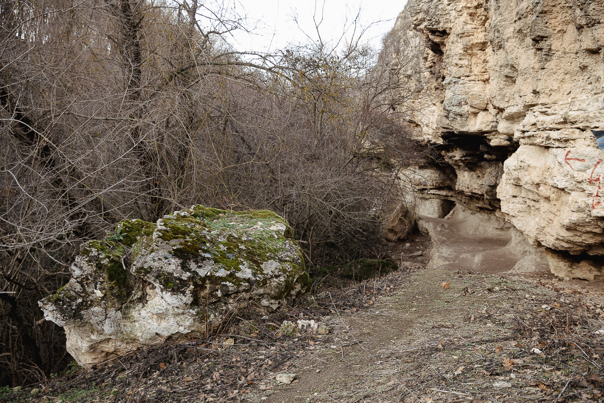 FOTOREPORTAJ. Una dintre cele mai vechi biserici din România a ajuns lăsată în grija lui Dumnezeu, a oilor și uliilor: „Nu v-aţi rătăcit, pe aici o ţineţi tot aşa, pe lângă pădure”