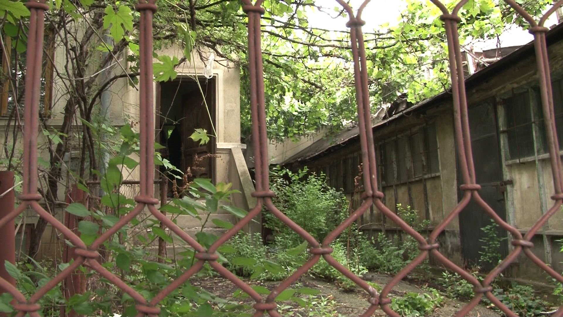 FOTO/ Un hoţ care a vrut să fure dintr-o casă din Ploiești a dat peste cadavrul unei femei moarte de un an. Lângă ea era cadavrul câinelui care o păzise