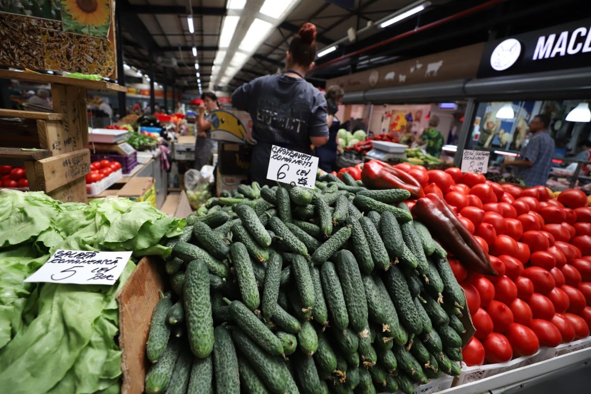 Castraveții românești sunt mai ieftini la supermarket decât la piață. Legumicultorii lasă marfa pe câmp, neculeasă, din cauza prețurilor prea mici