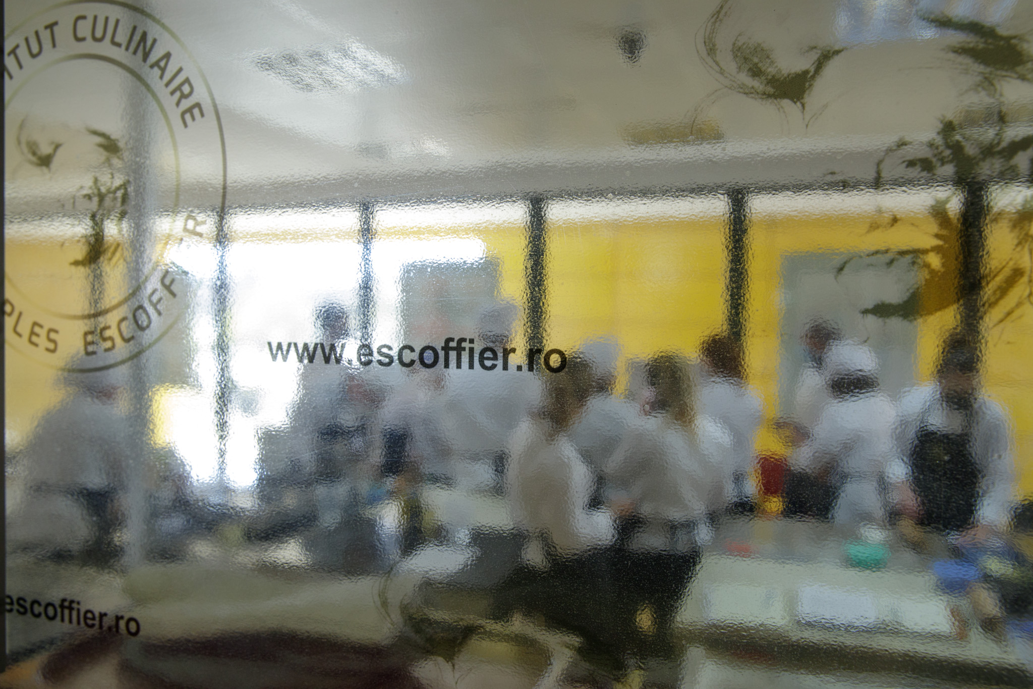 Românul care s-a întors din Franța și vrea să facă primul restaurant cu stele Michelin: „Cum vreți să progresăm, când noi mâncăm același lucru: șnițele, piept de pui, mici?”