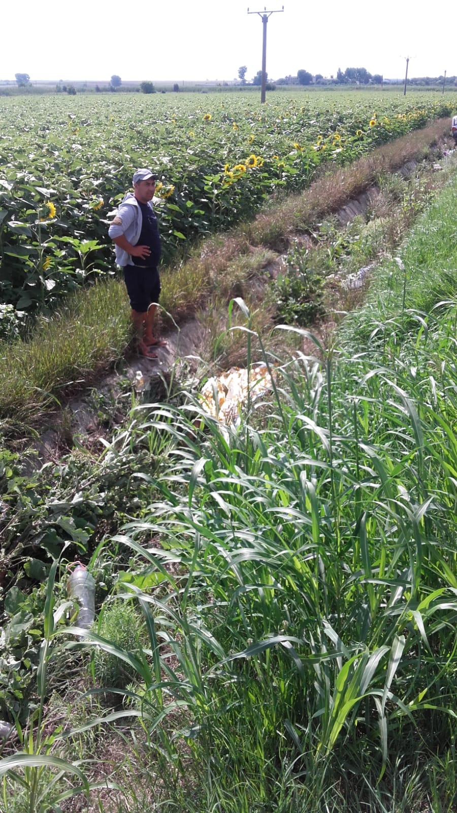 Un șofer de 84 de ani a omorât un copil aflat într-o parcare. Accident groaznic în Constanța