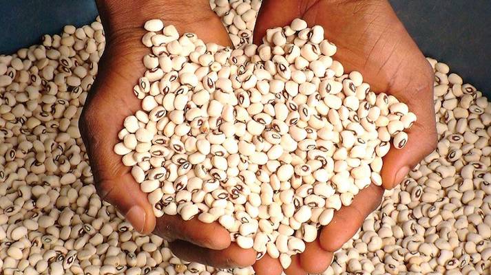 Beans are one of the most affordable sources of protein [BusinessdayNG]