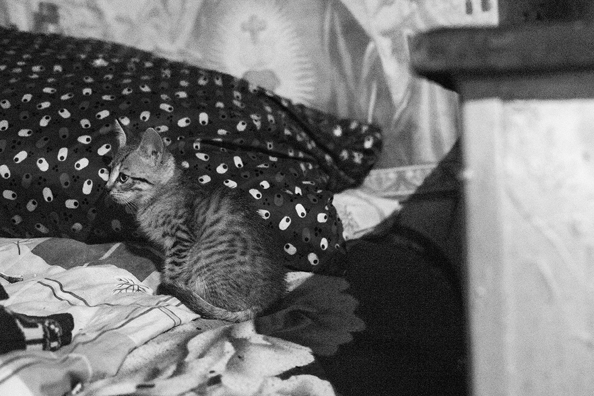 Izolate și când nu e pandemie, ultimele cinci familii din cătunul Marca Huta trăiesc rupte de civilizație, cu ce le dau pământul și animalele. “Suntem săraci, dar trăim bine! La ce să coborâm în vale?”