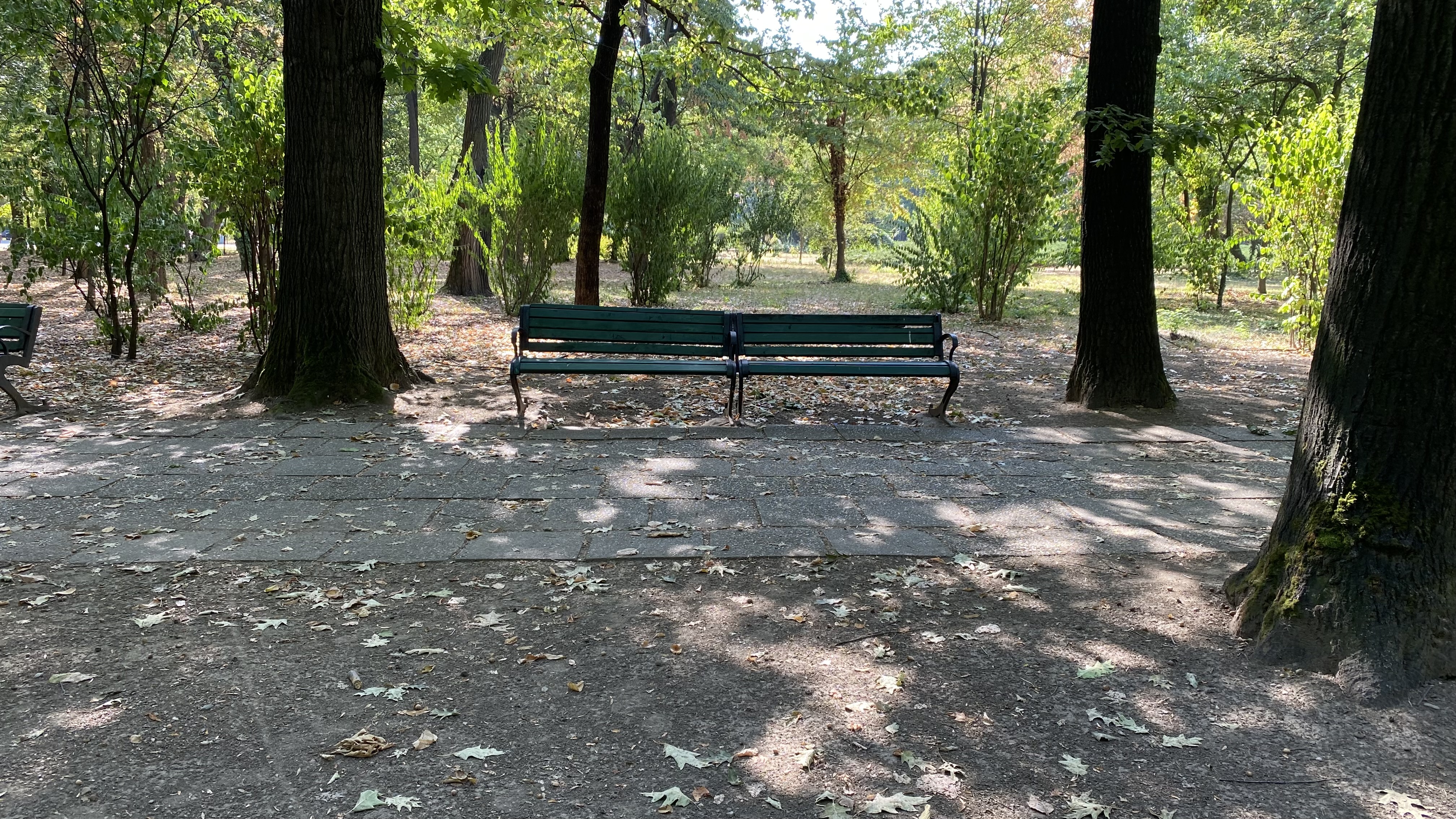 FOTO. Herăstrău, cel mai mare parc al Bucureștiului, arată mai rău ca niciodată. Trandafirii și zonele cu flori sunt istorie, clădirile pentru expoziții au fost vandalizate