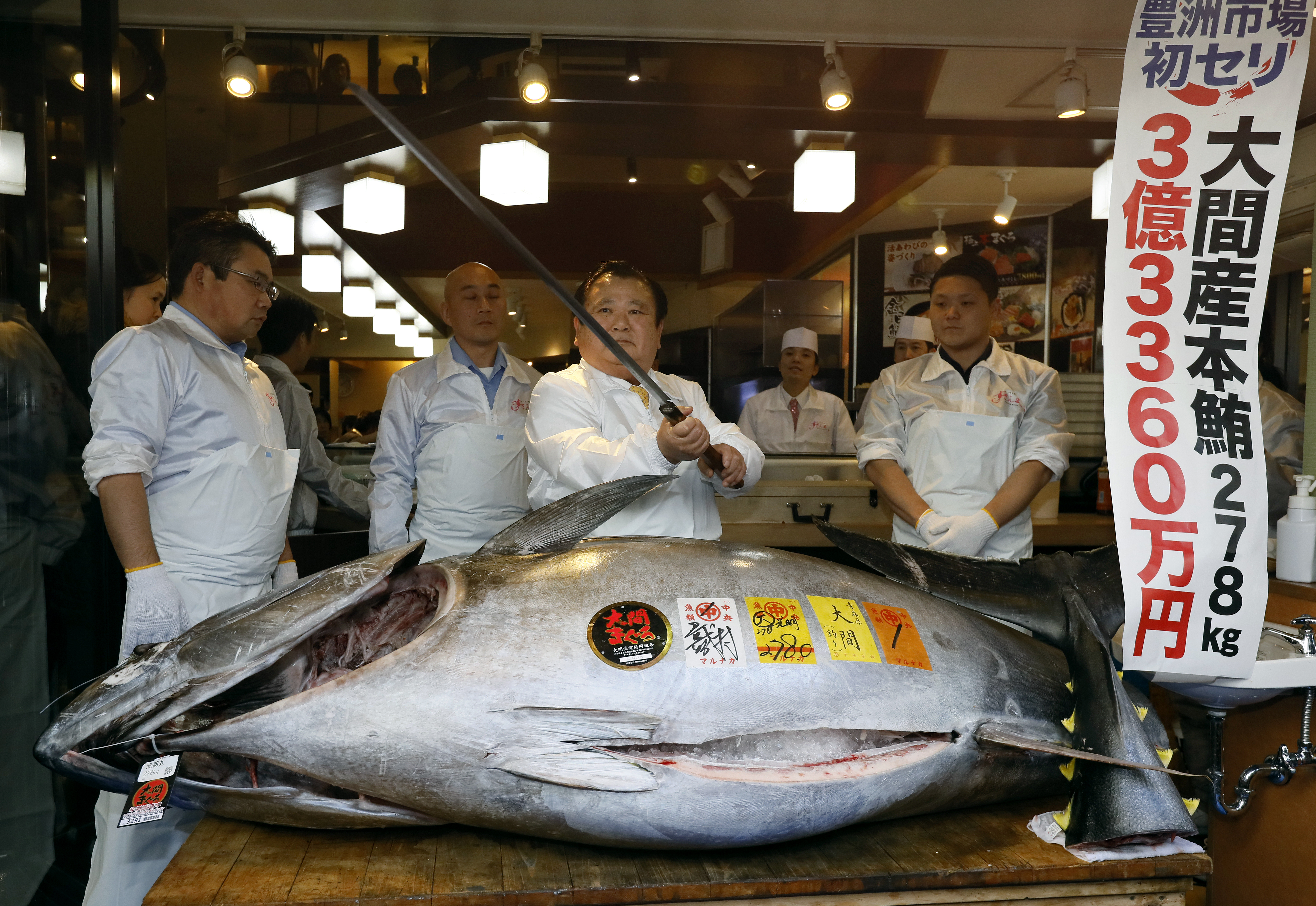 Un ton uriaș a fost cumpărat în Japonia. Prețul colosal, plătit de un magnat pentru peștele de aproape 300 de kilograme / FOTO&VIDEO