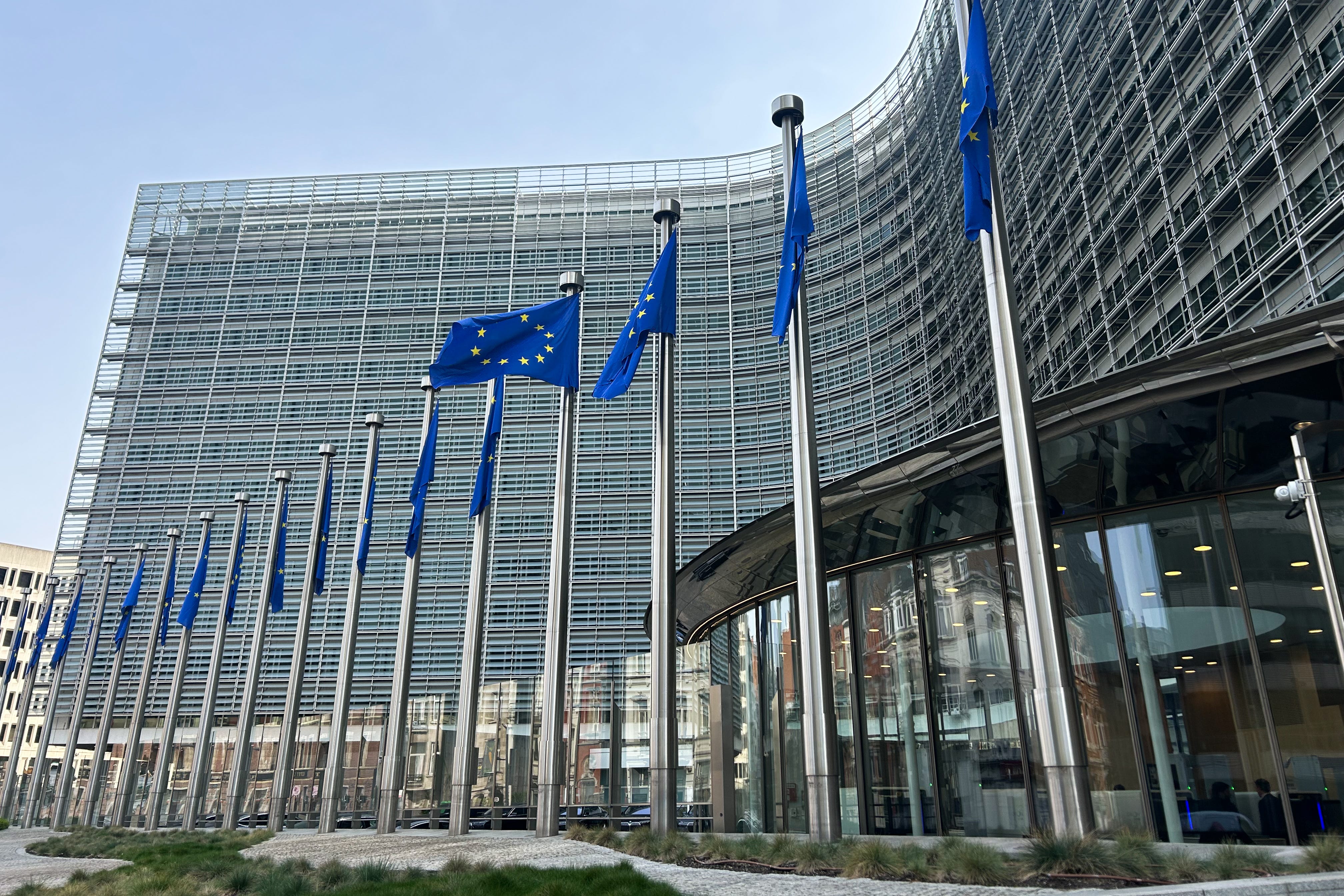 The Tanzanian mission by the European Parliament Subcommittee on Human Rights has faced setbacks since its approval in November 2025.