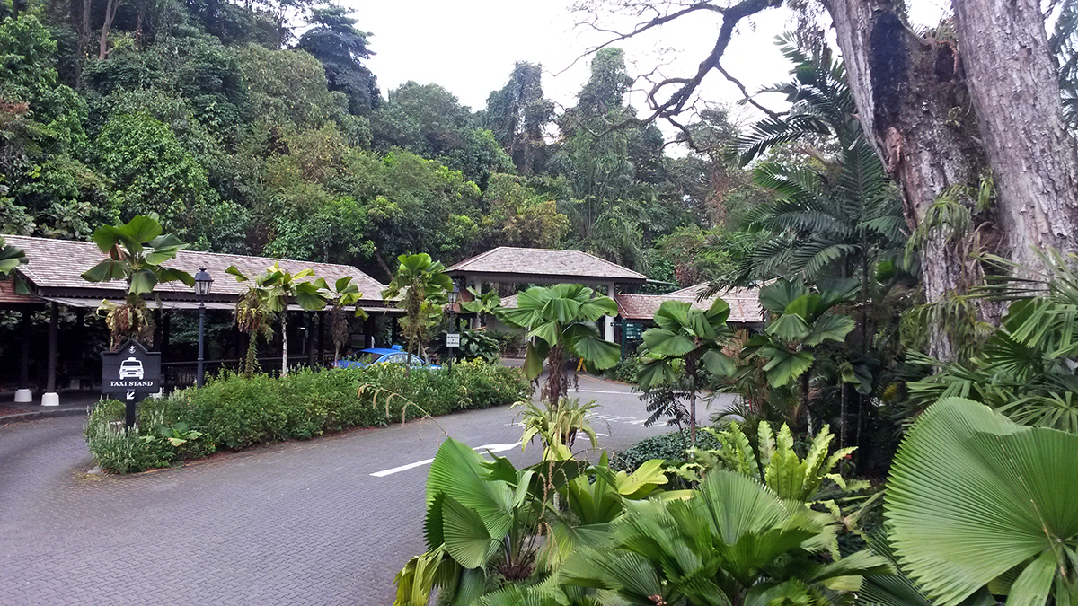 Singapore, locul de unde poți ajunge în concediu oriunde în Asia. Are hoteluri spectaculoase, cartiere tradiționale și o grădină botanică în patrimoniul UNESCO