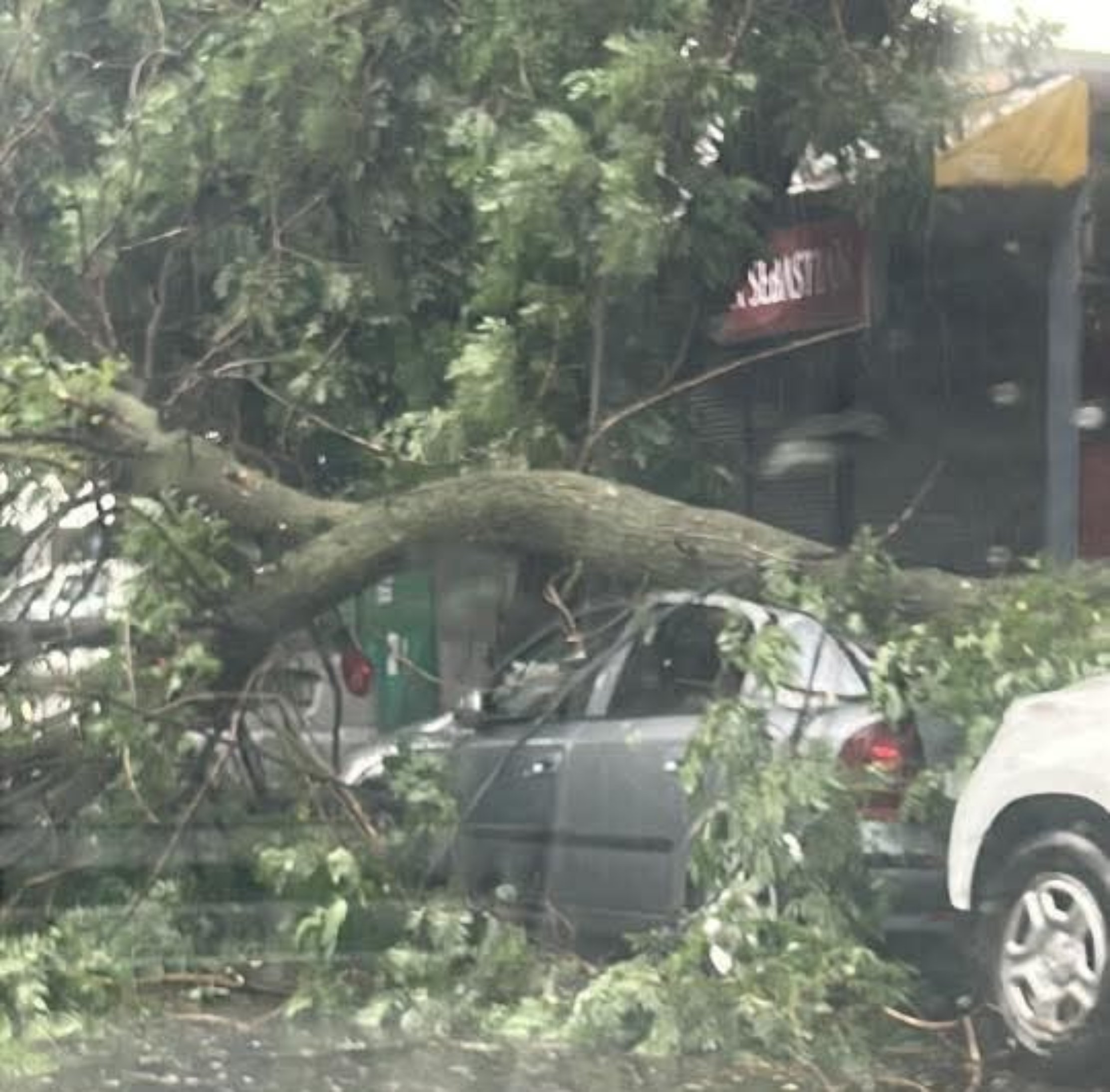 Furtuna din București a lăsat prăpăd în urmă: mașini distruse, străzi inundate, copaci prăbușiți