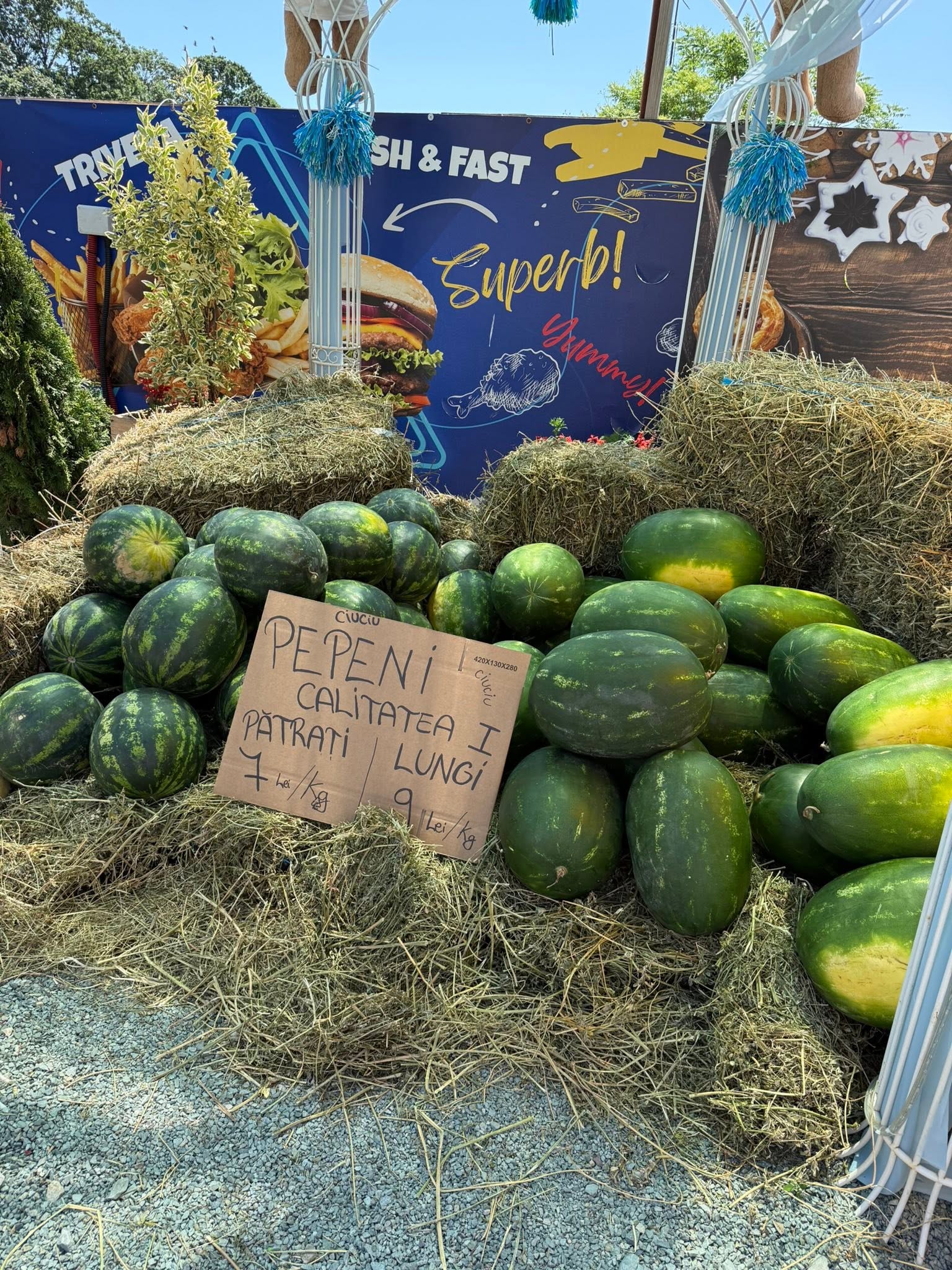„Universul” apărut în Lazu, lângă Constanța. E creat de Răzvan Botezatu: „Am un «land» întreg”
