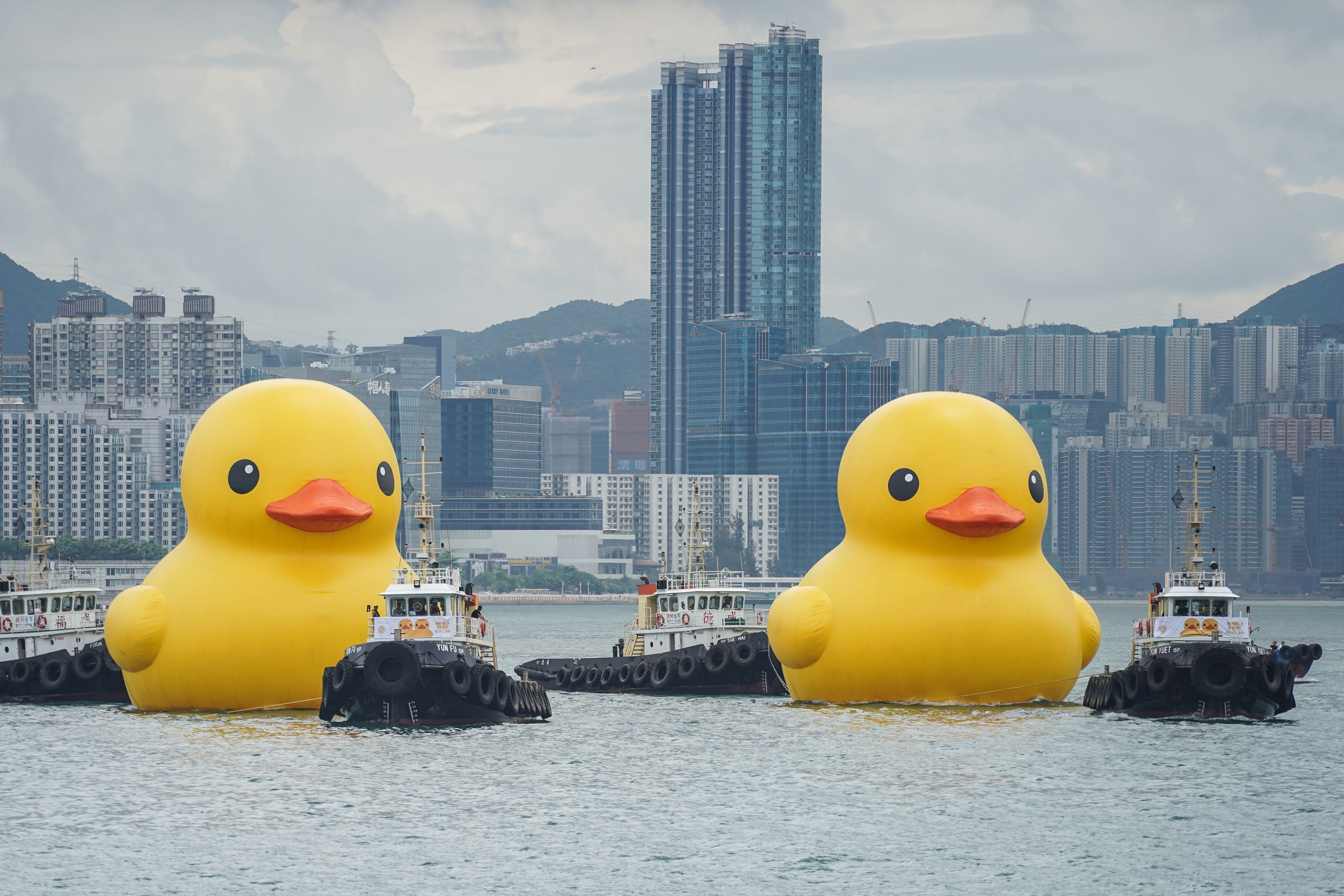Apariție inedită într-un port: două rațe uriașe gonflabile, pentru „fericirea dublă” a locuitorilor din Hong Kong